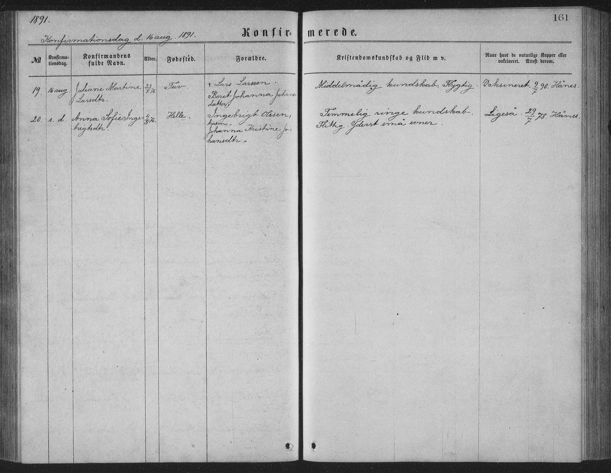 Ministerialprotokoller, klokkerbøker og fødselsregistre - Nordland, AV/SAT-A-1459/886/L1225: Parish register (copy) no. 886C02, 1874-1896, p. 161