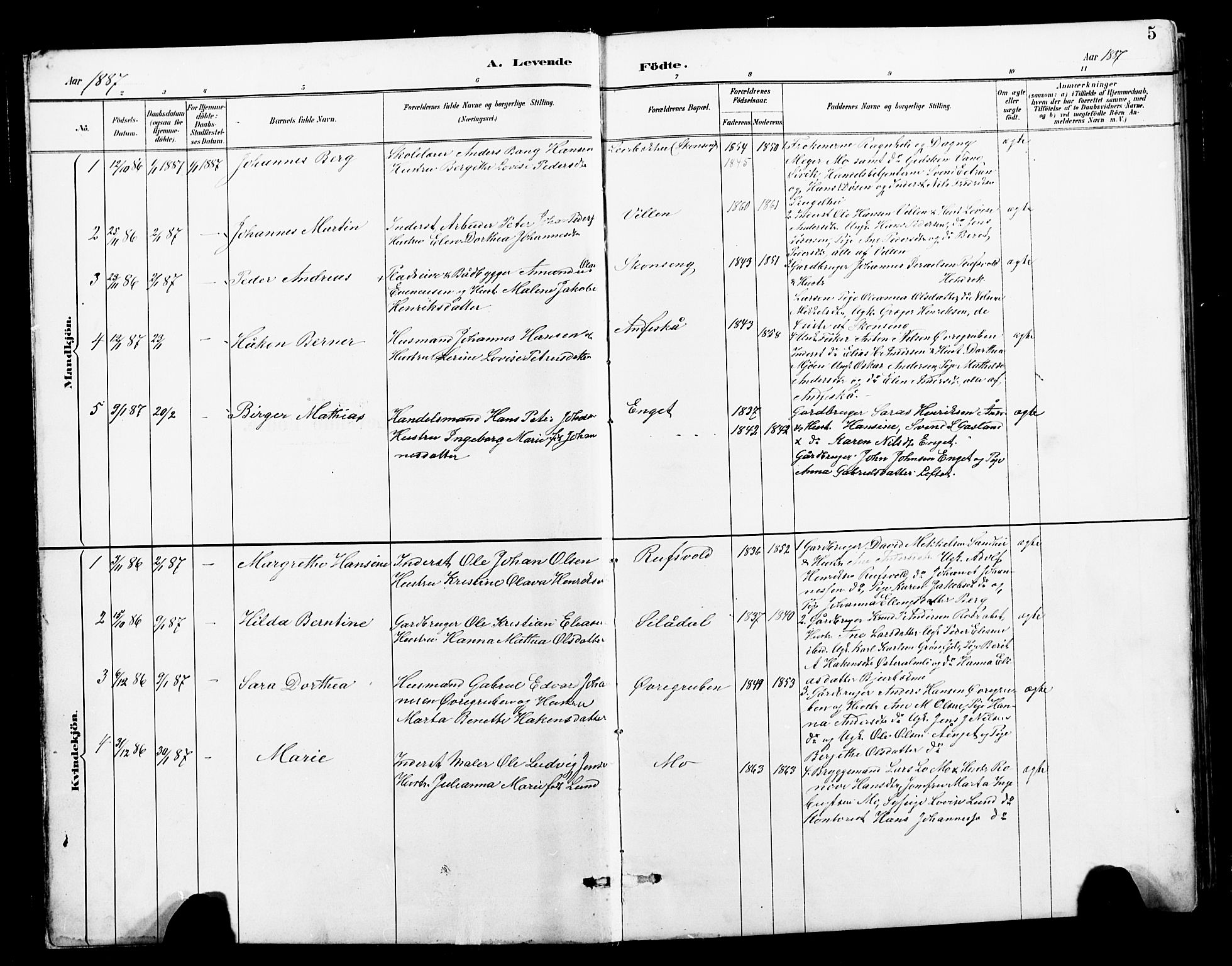 Ministerialprotokoller, klokkerbøker og fødselsregistre - Nordland, SAT/A-1459/827/L0421: Parish register (copy) no. 827C10, 1887-1906, p. 5
