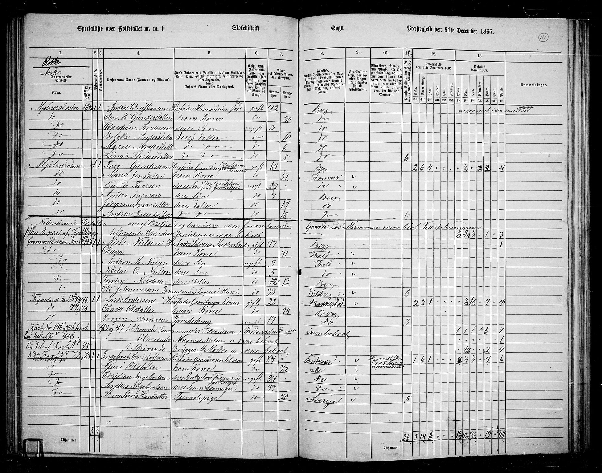 RA, 1865 census for Berg, 1865, p. 100