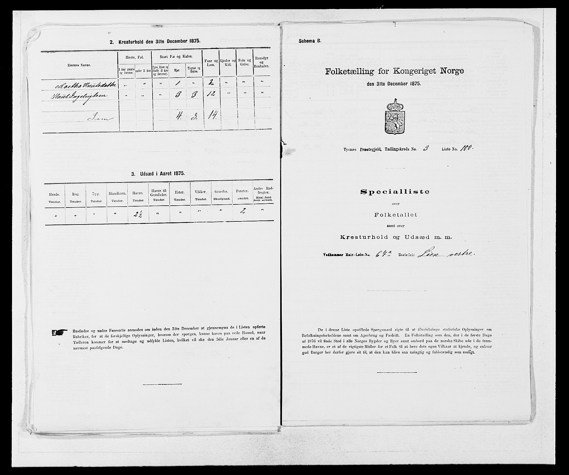 SAB, 1875 census for 1223P Tysnes, 1875, p. 418