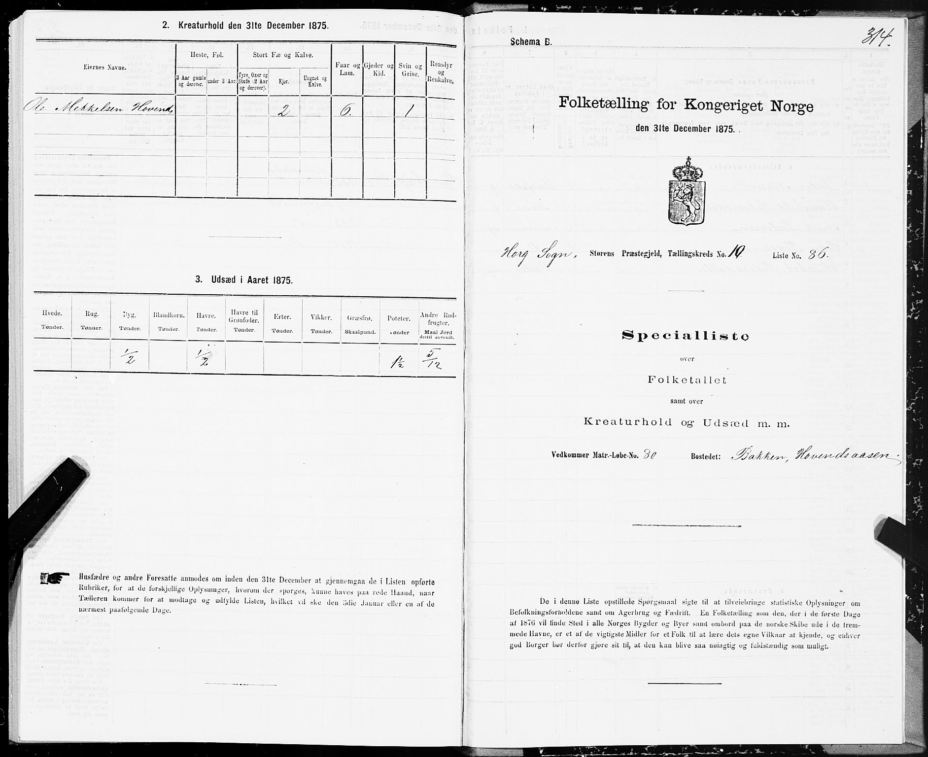 SAT, 1875 census for 1648P Støren, 1875, p. 5314