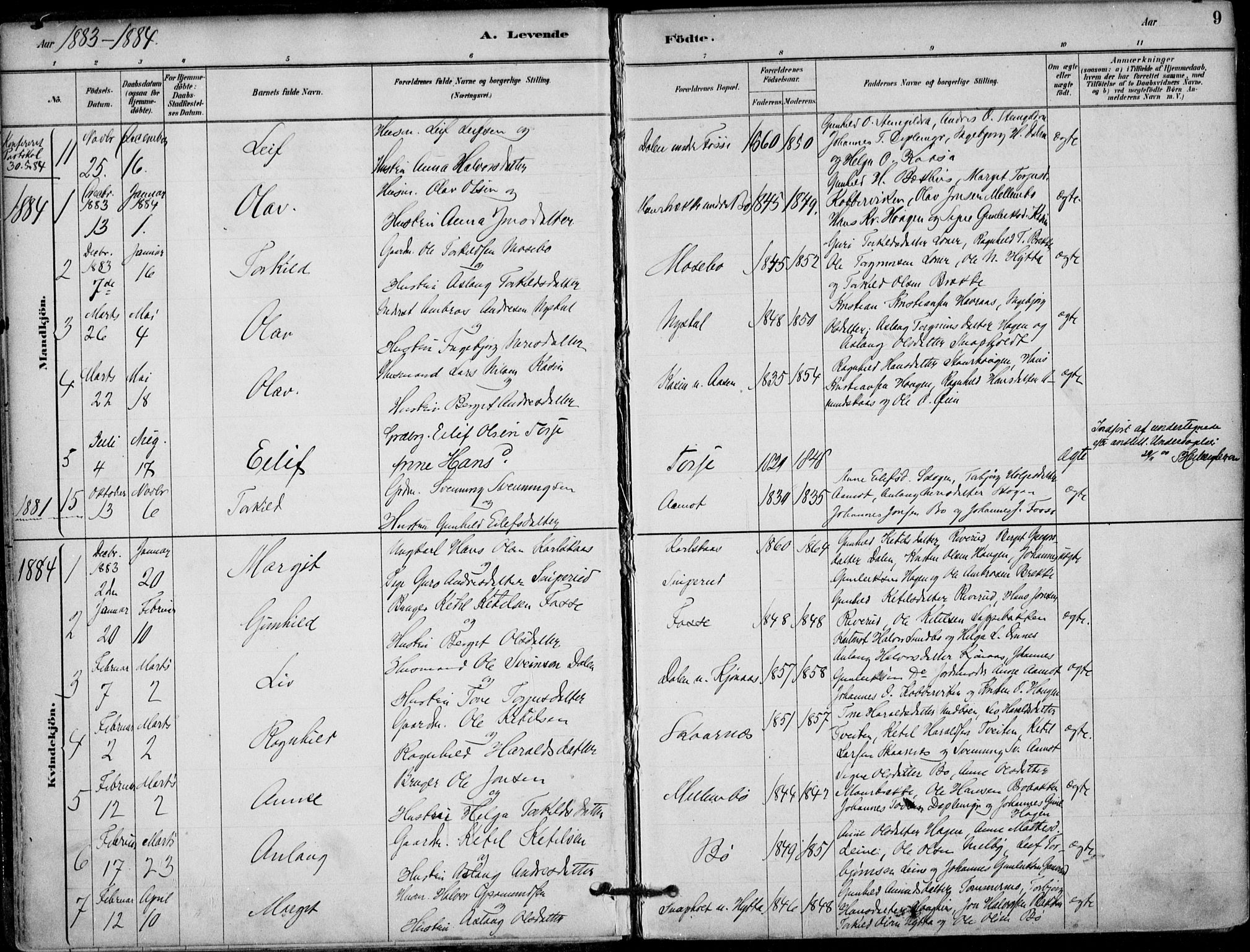 Hjartdal kirkebøker, AV/SAKO-A-270/F/Fb/L0002: Parish register (official) no. II 2, 1880-1932, p. 9