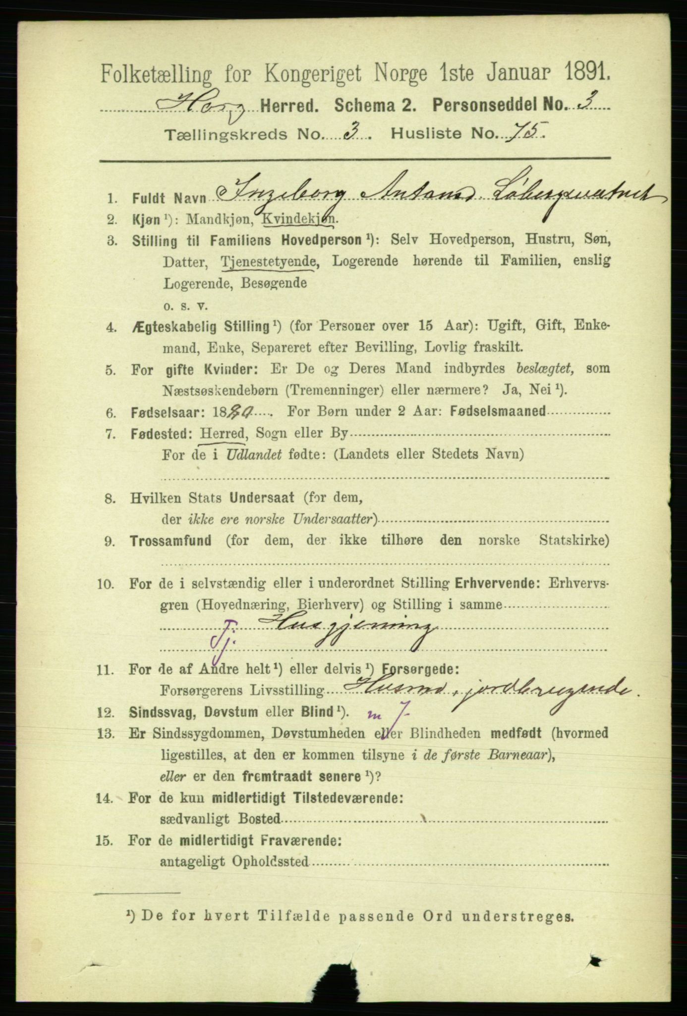 RA, 1891 census for 1650 Horg, 1891, p. 1500