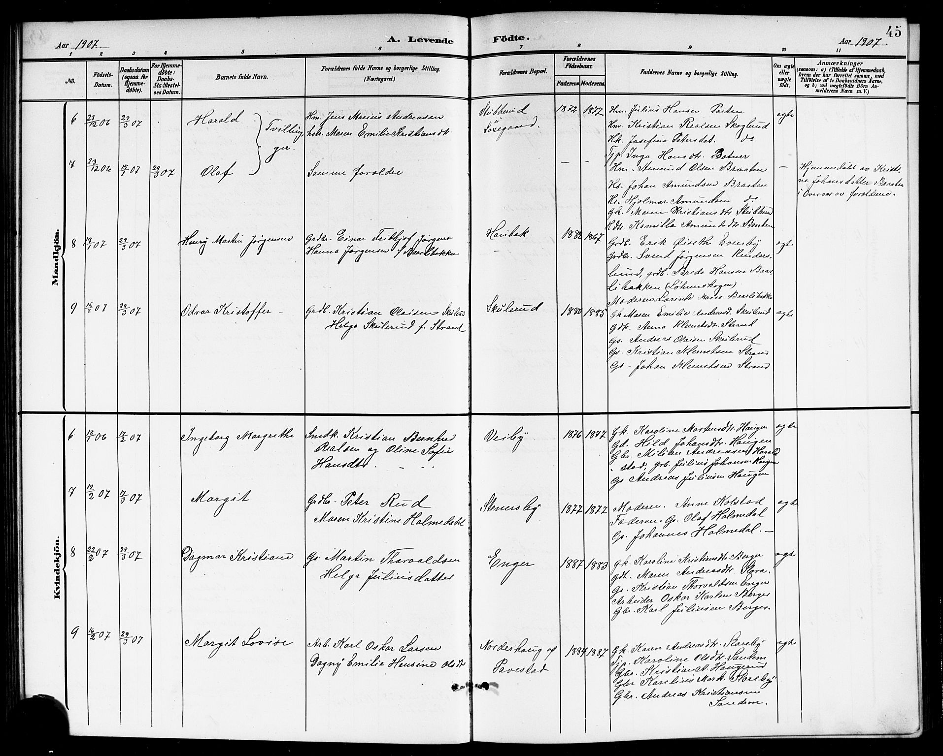 Høland prestekontor Kirkebøker, SAO/A-10346a/G/Gb/L0001: Parish register (copy) no. II 1, 1902-1919, p. 45