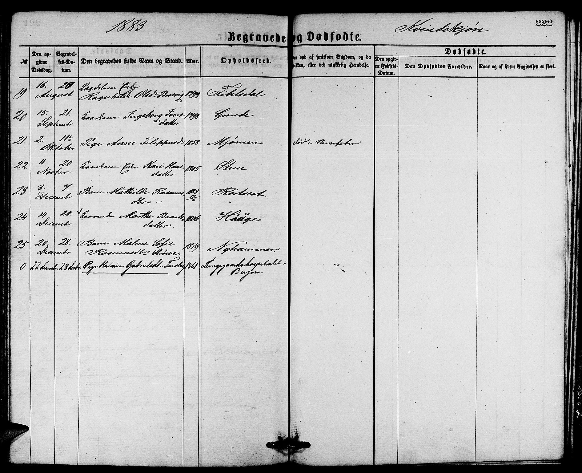 Gulen sokneprestembete, AV/SAB-A-80201/H/Hab/Habb/L0002: Parish register (copy) no. B 2, 1867-1883, p. 222