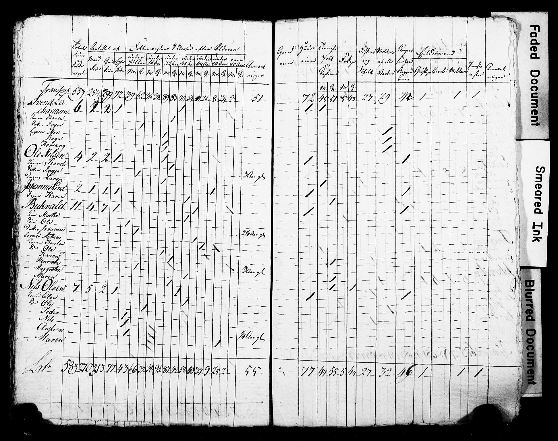 LOK, Census 1815 for Skien, 1815, p. 55