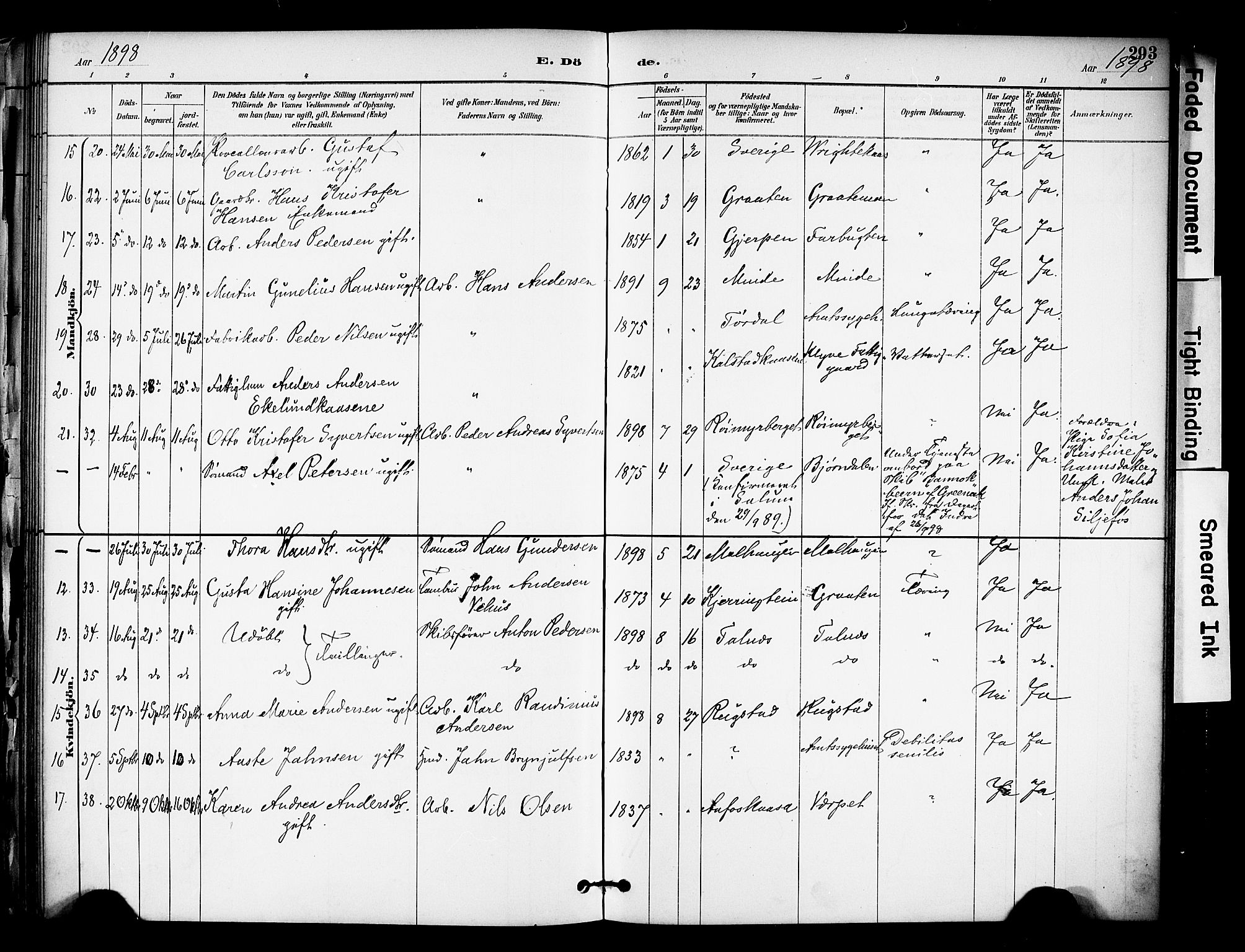 Solum kirkebøker, SAKO/A-306/F/Fa/L0010: Parish register (official) no. I 10, 1888-1898, p. 293