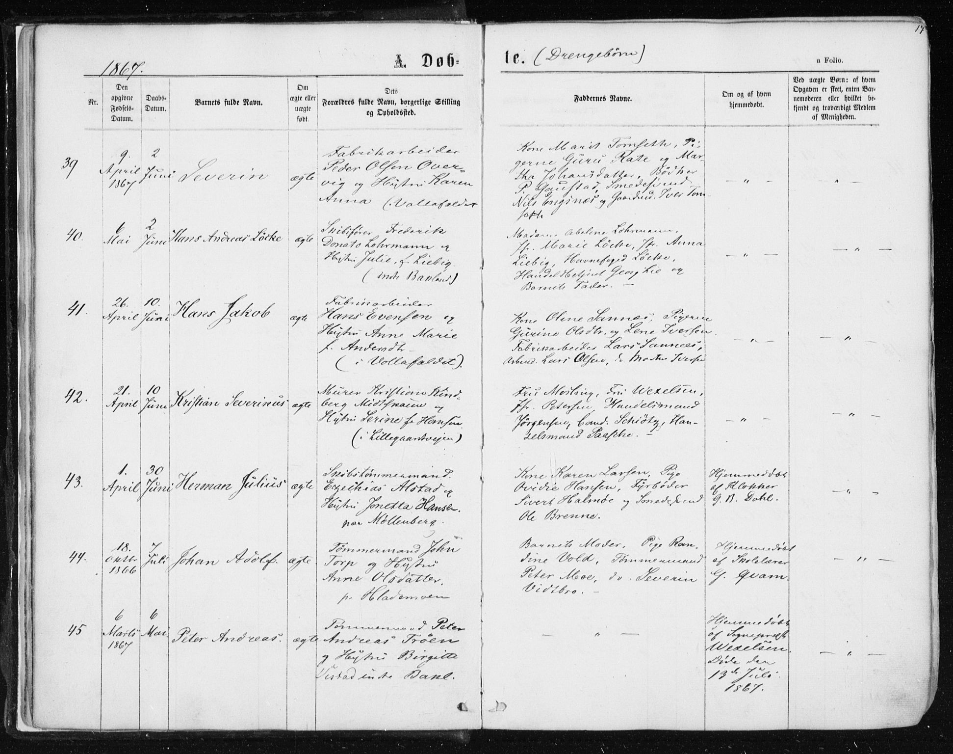 Ministerialprotokoller, klokkerbøker og fødselsregistre - Sør-Trøndelag, AV/SAT-A-1456/604/L0186: Parish register (official) no. 604A07, 1866-1877, p. 17