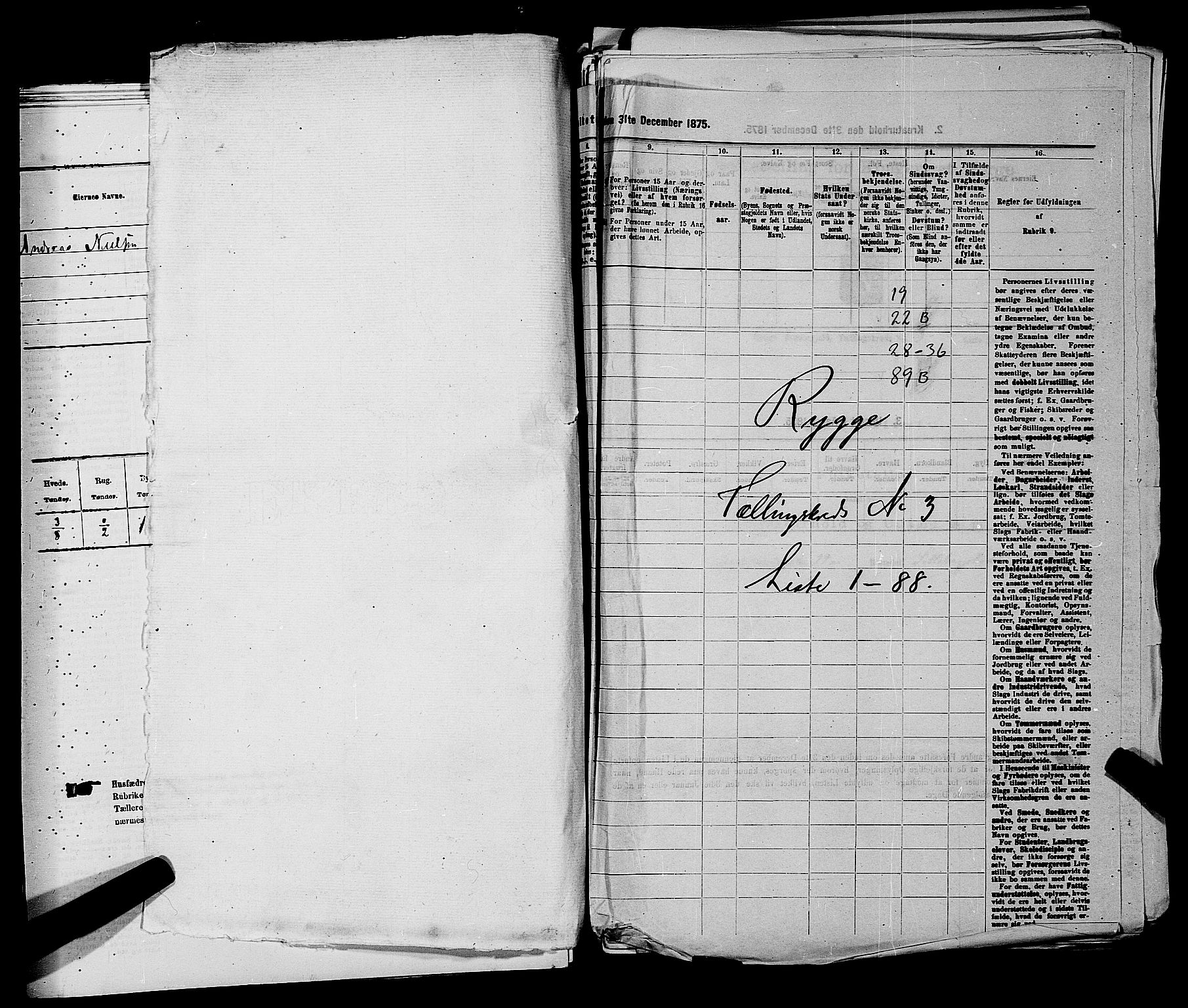 RA, 1875 census for 0136P Rygge, 1875, p. 462