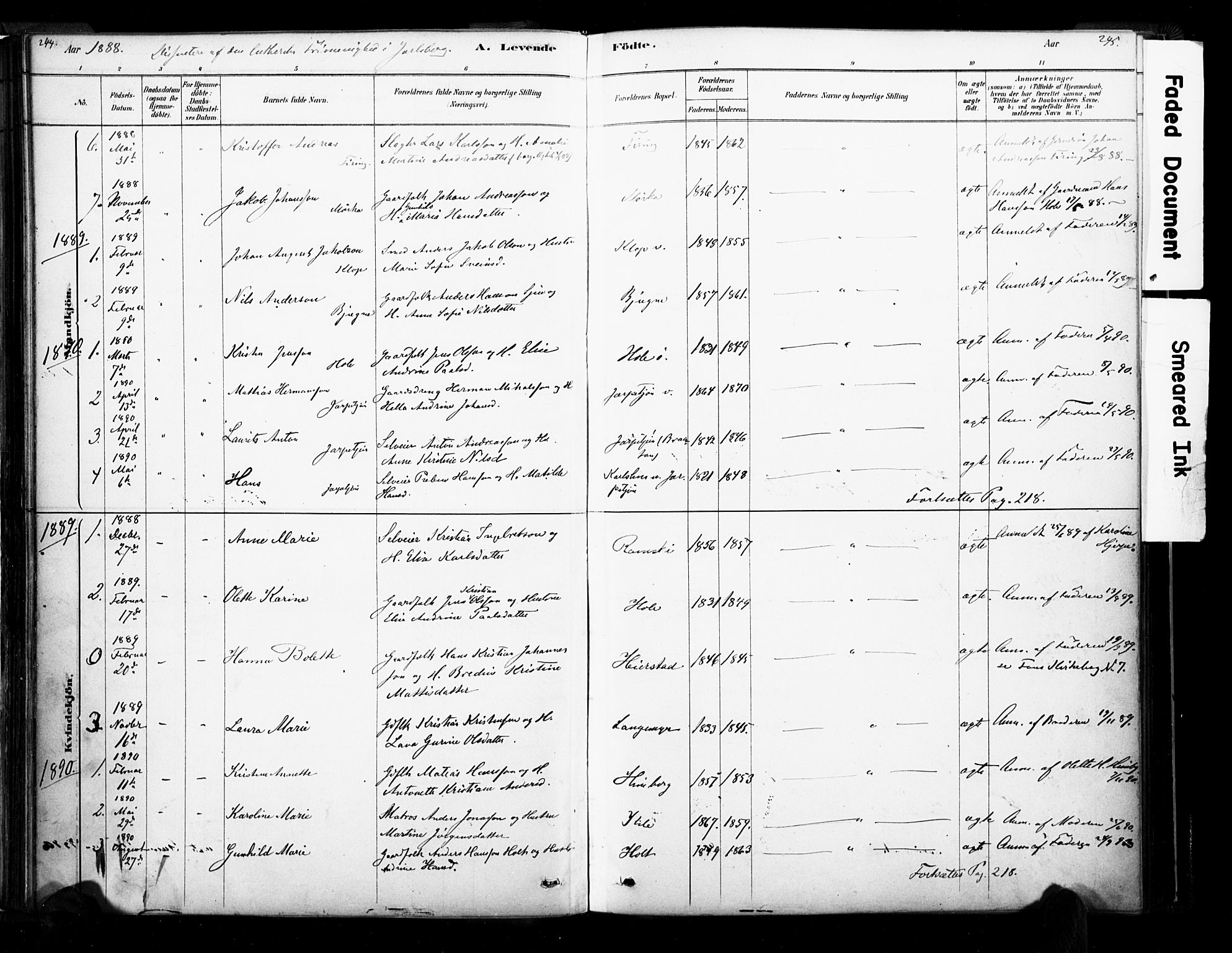 Ramnes kirkebøker, AV/SAKO-A-314/F/Fa/L0007: Parish register (official) no. I 7, 1878-1895, p. 244-245