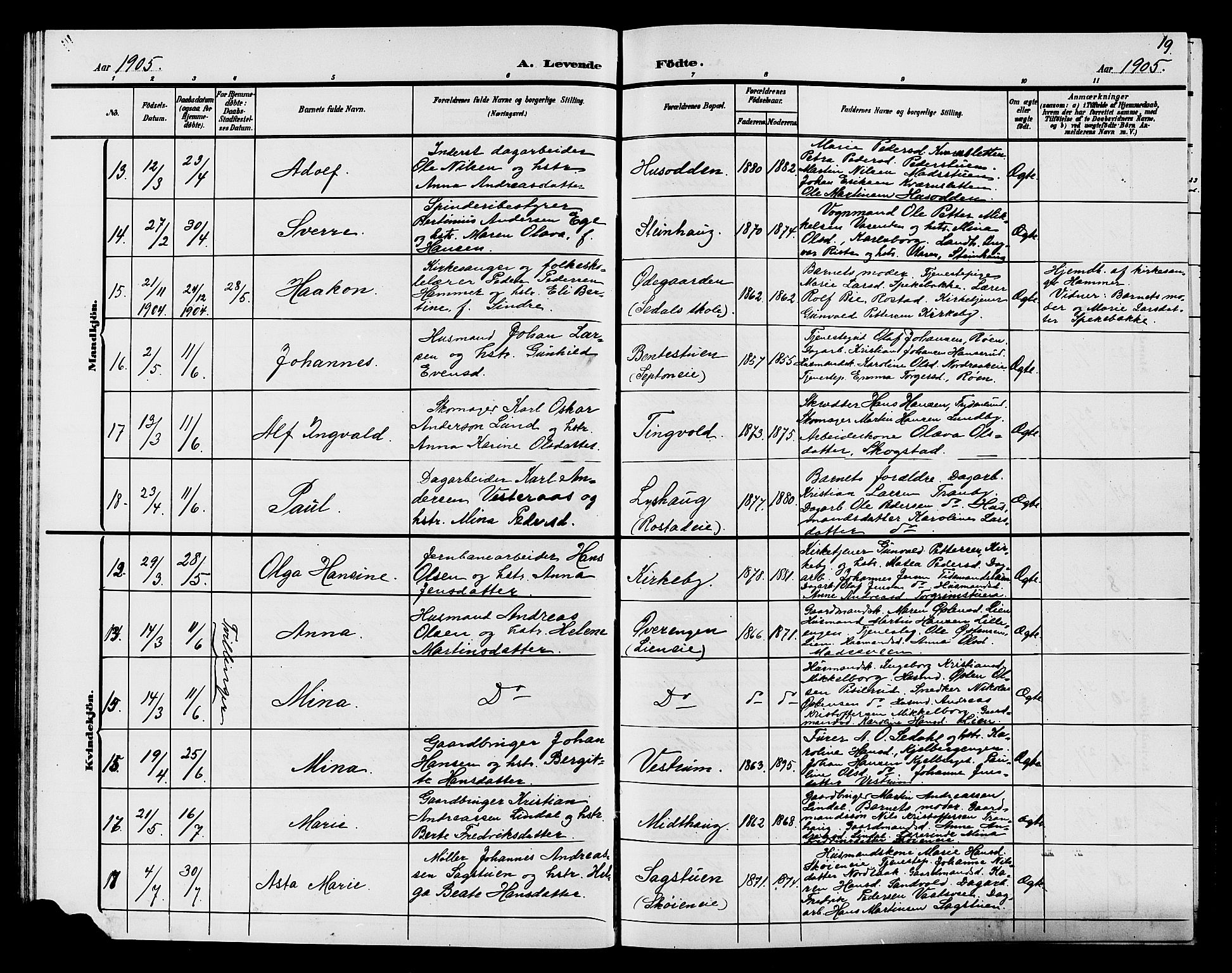 Søndre Land prestekontor, AV/SAH-PREST-122/L/L0005: Parish register (copy) no. 5, 1902-1911, p. 19