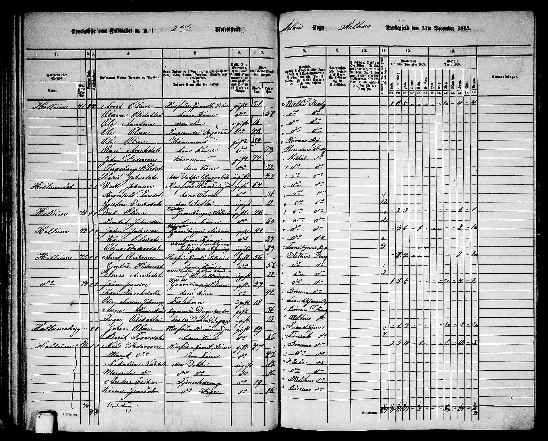 RA, 1865 census for Melhus, 1865, p. 56