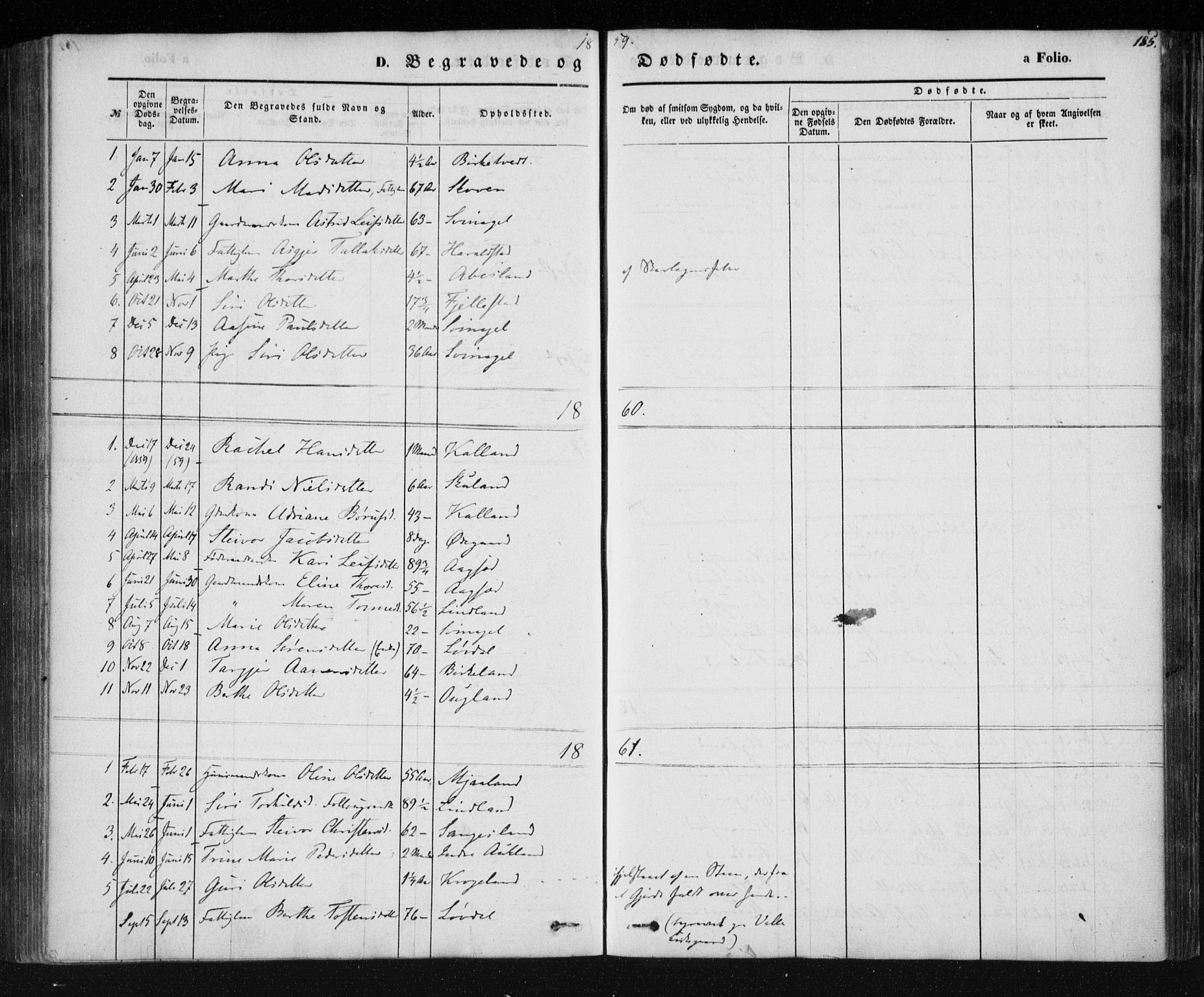 Holum sokneprestkontor, AV/SAK-1111-0022/F/Fa/Fab/L0005: Parish register (official) no. A 5, 1847-1874, p. 185