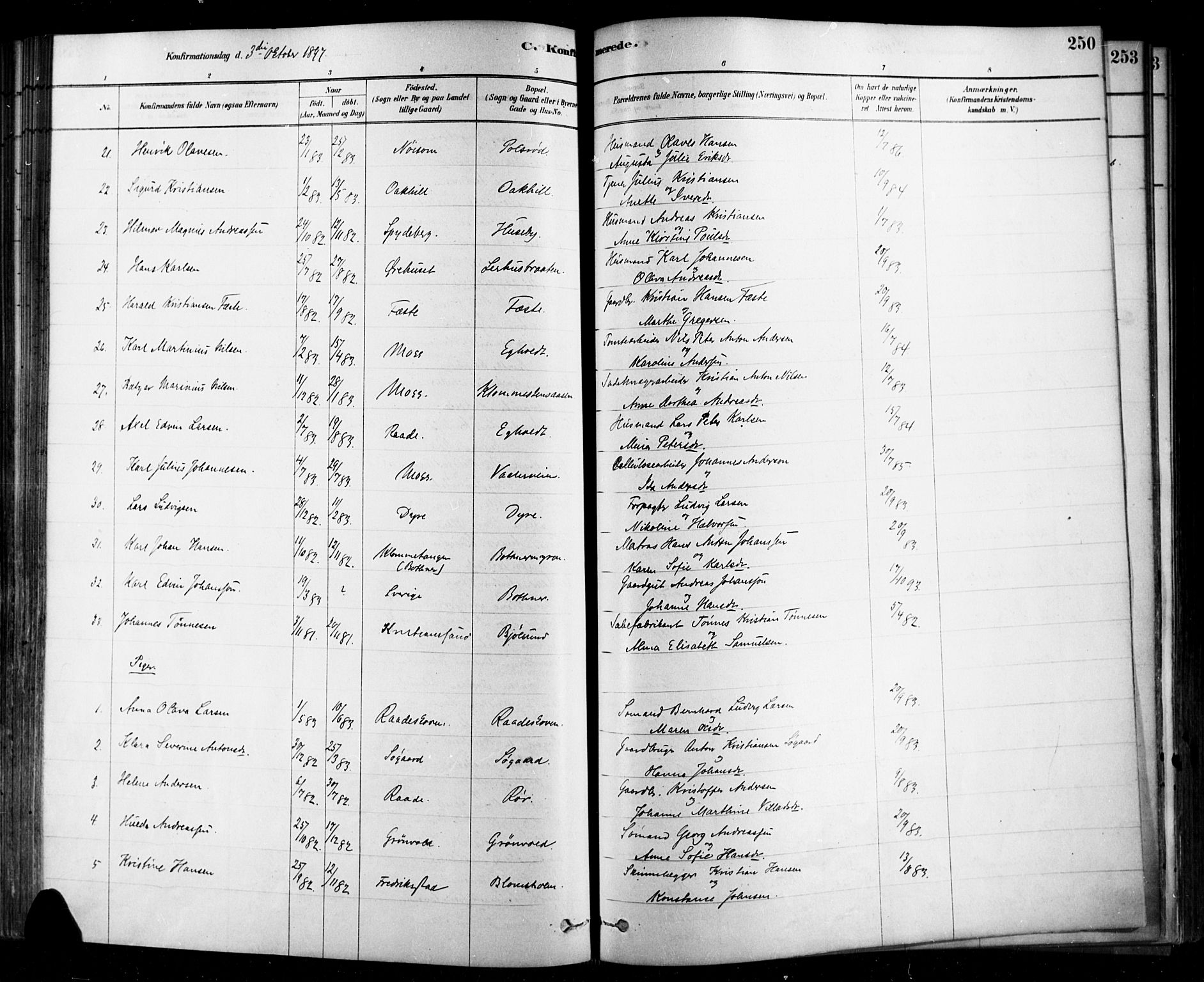 Rygge prestekontor Kirkebøker, SAO/A-10084b/F/Fa/L0007: Parish register (official) no. 7, 1878-1904, p. 250