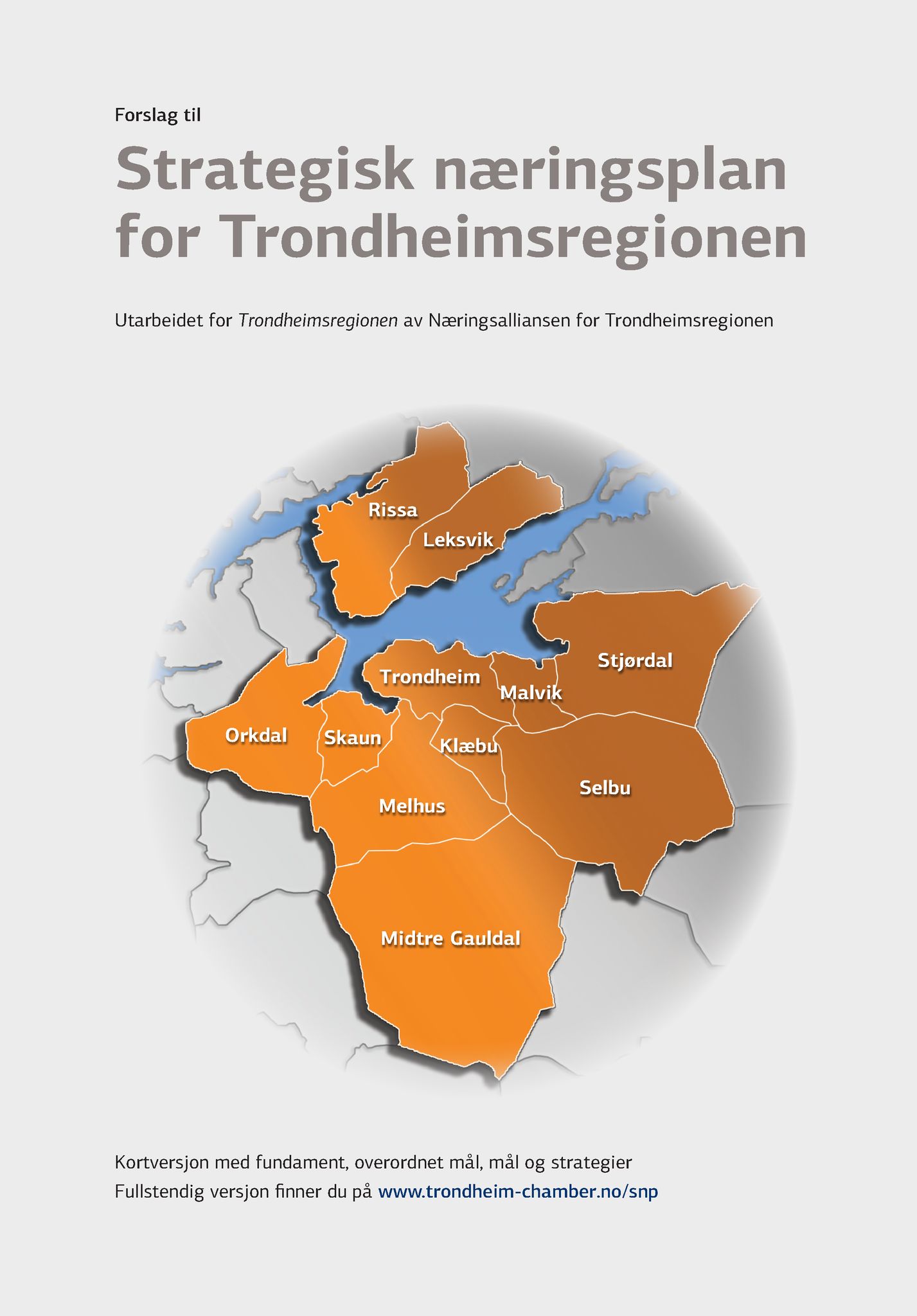 Klæbu Kommune, TRKO/KK/01-KS/L003: Kommunestyret - Møtedokumenter, 2010, p. 352