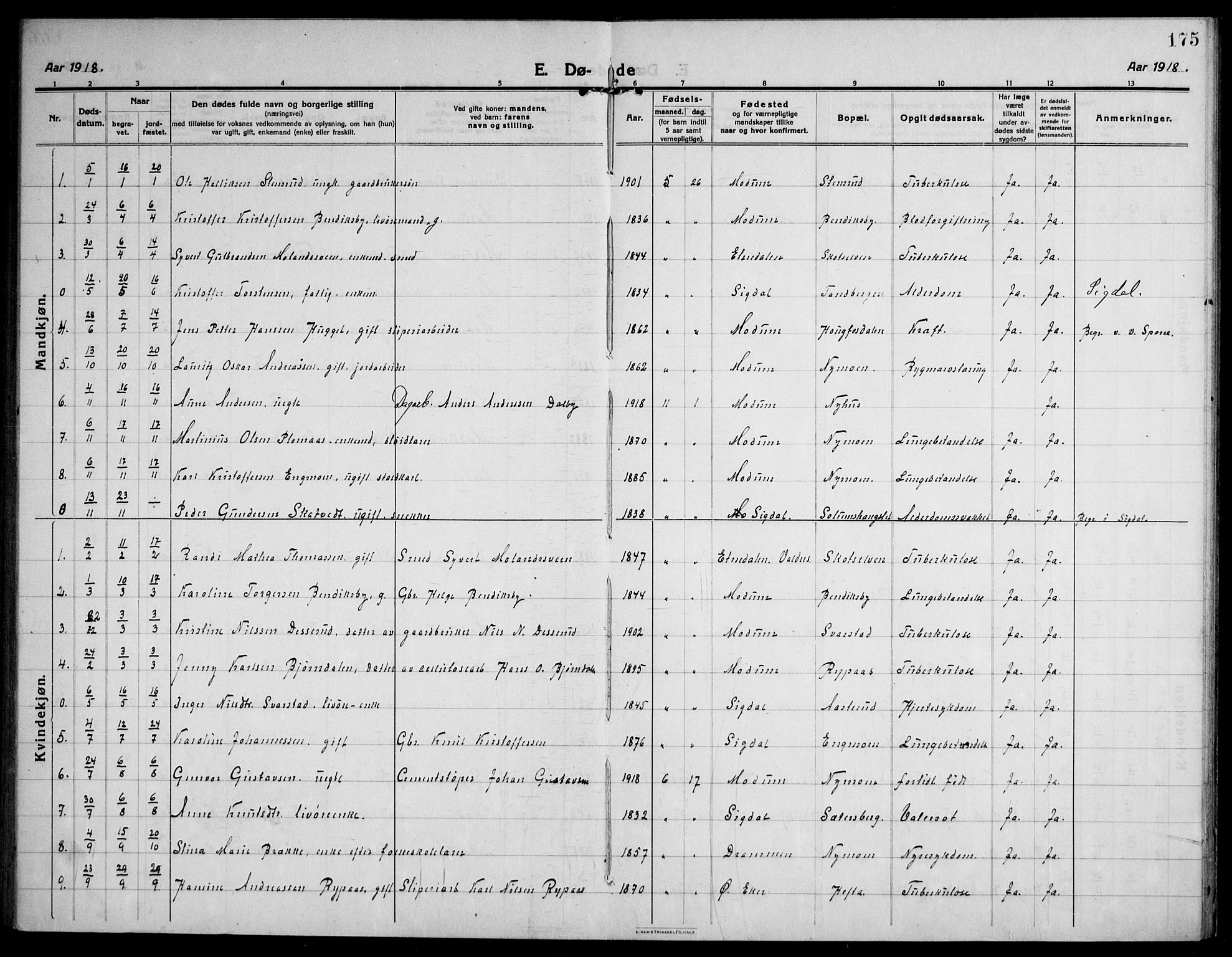 Modum kirkebøker, AV/SAKO-A-234/F/Fa/L0018: Parish register (official) no. 18, 1912-1924, p. 175