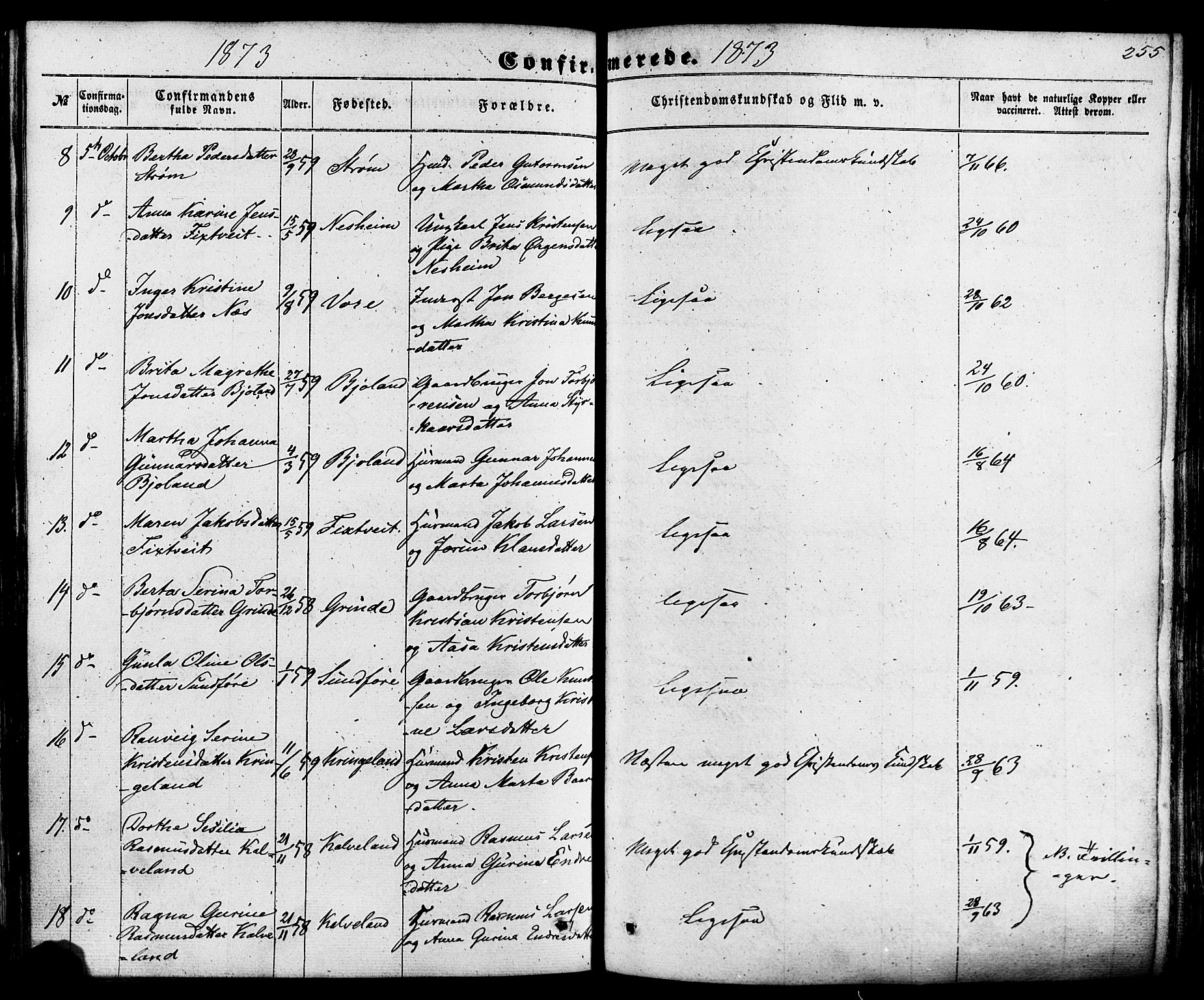 Skjold sokneprestkontor, SAST/A-101847/H/Ha/Haa/L0008: Parish register (official) no. A 8, 1856-1882, p. 255
