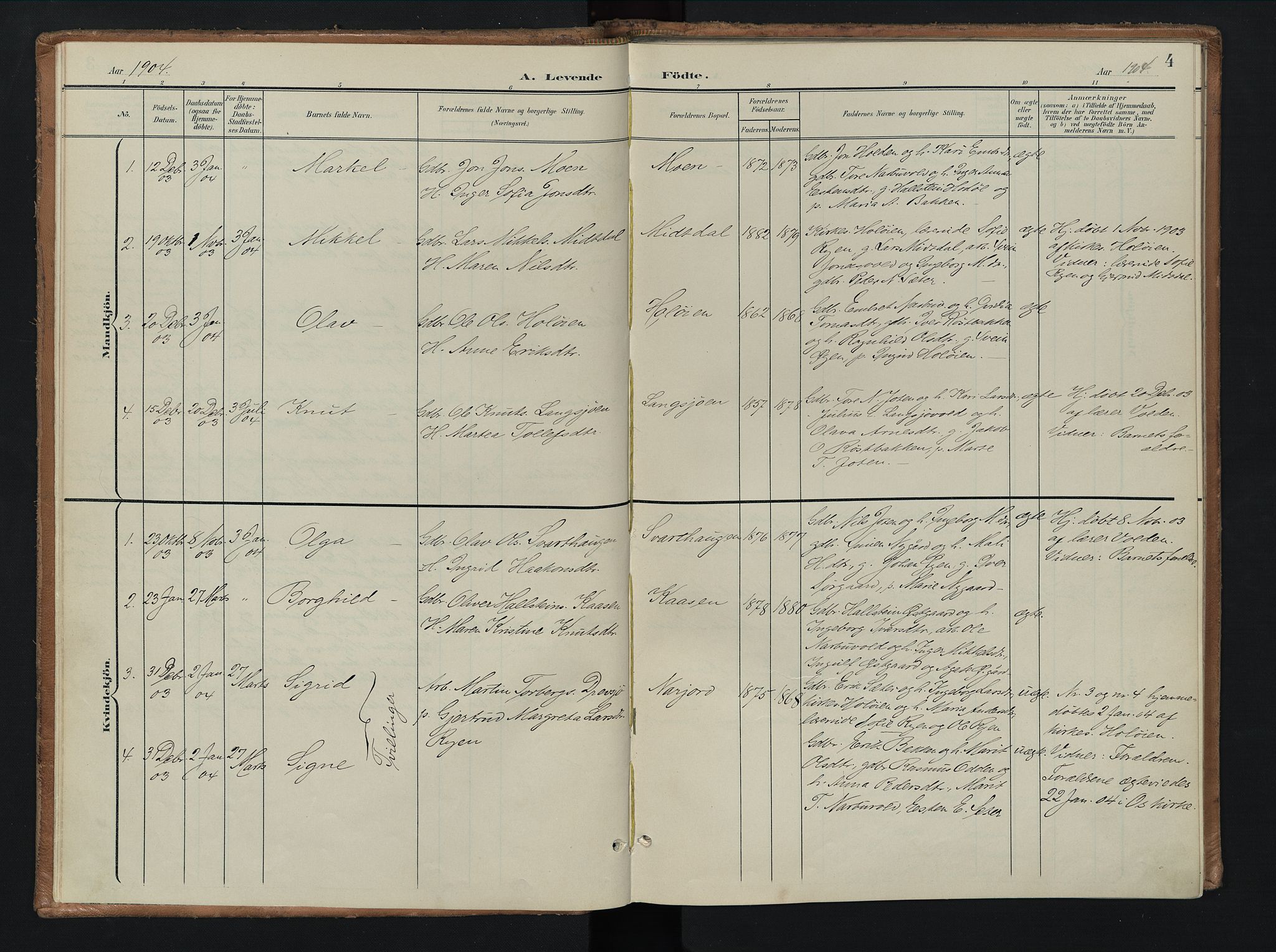 Tolga prestekontor, SAH/PREST-062/K/L0010: Parish register (official) no. 10, 1901-1915, p. 4