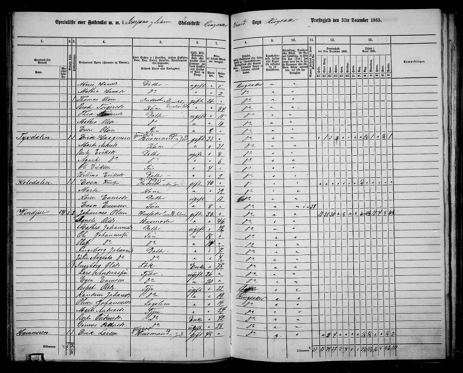 RA, 1865 census for Ringsaker, 1865, p. 132