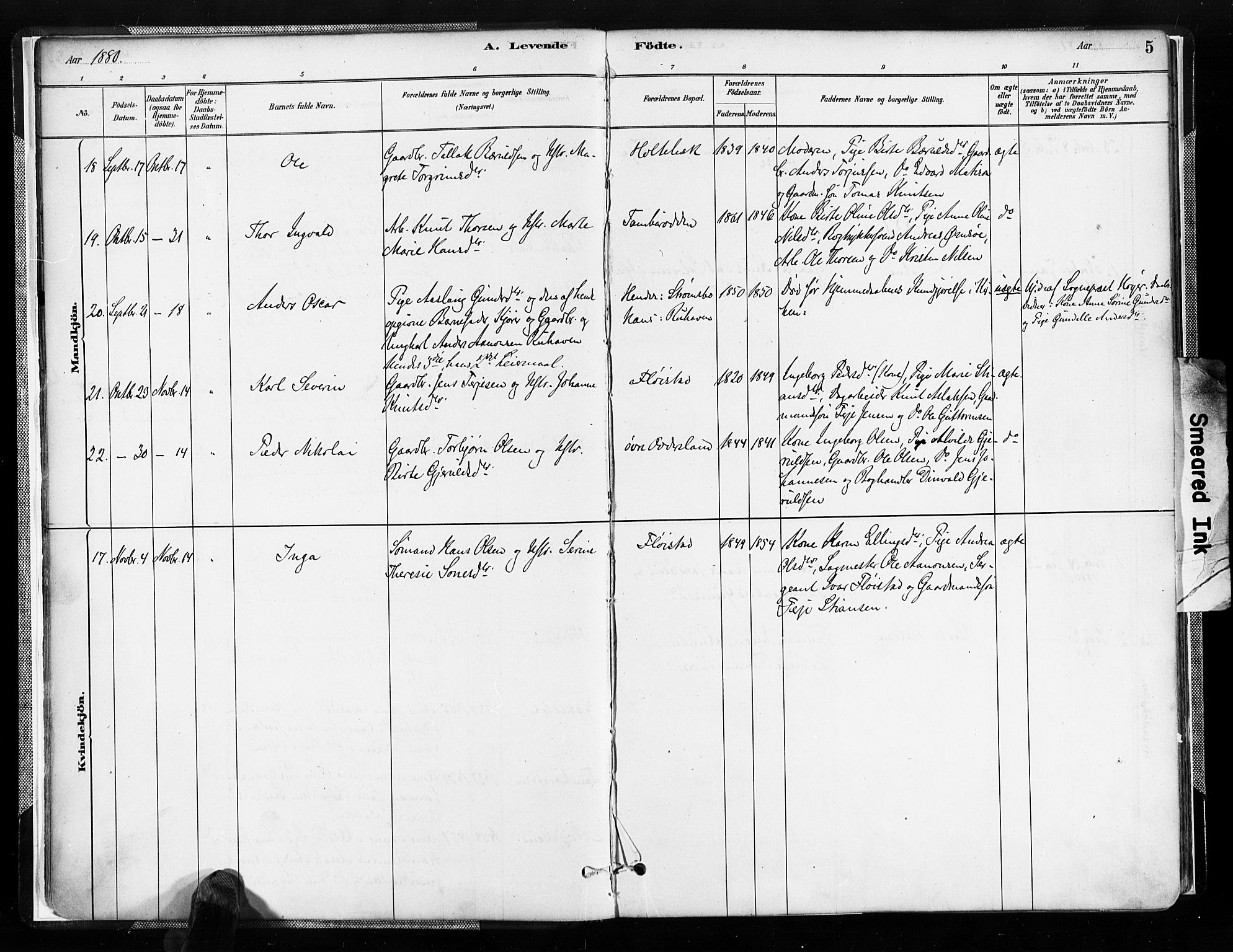 Austre Moland sokneprestkontor, SAK/1111-0001/F/Fa/Faa/L0010: Parish register (official) no. A 10, 1880-1904, p. 5