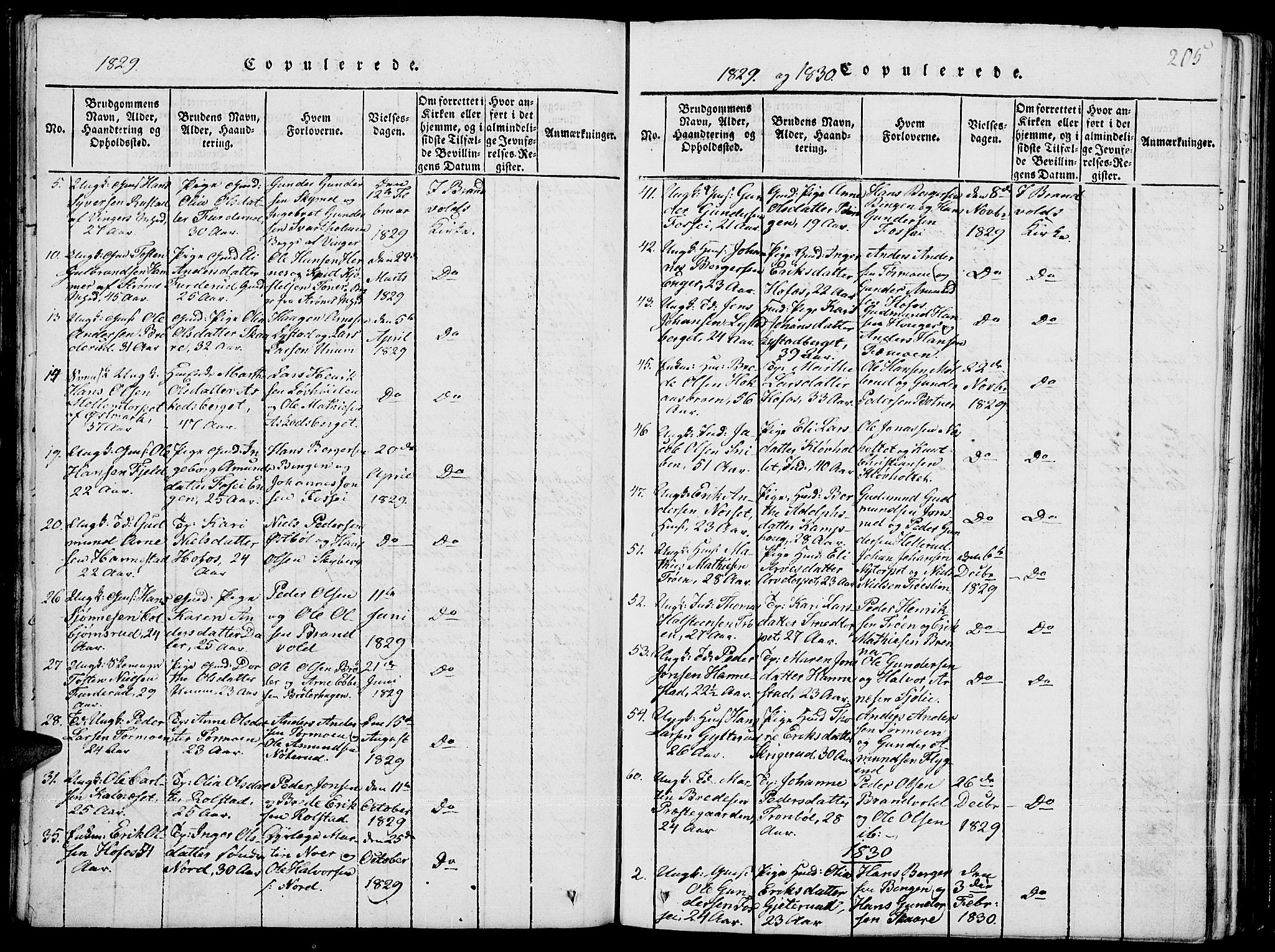 Grue prestekontor, SAH/PREST-036/H/Ha/Hab/L0001: Parish register (copy) no. 1, 1814-1841, p. 205