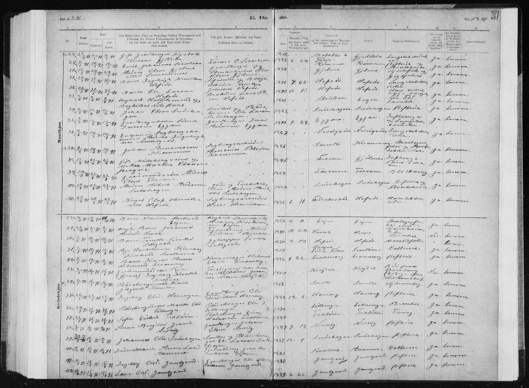 Ministerialprotokoller, klokkerbøker og fødselsregistre - Sør-Trøndelag, AV/SAT-A-1456/668/L0818: Parish register (copy) no. 668C07, 1885-1898, p. 317