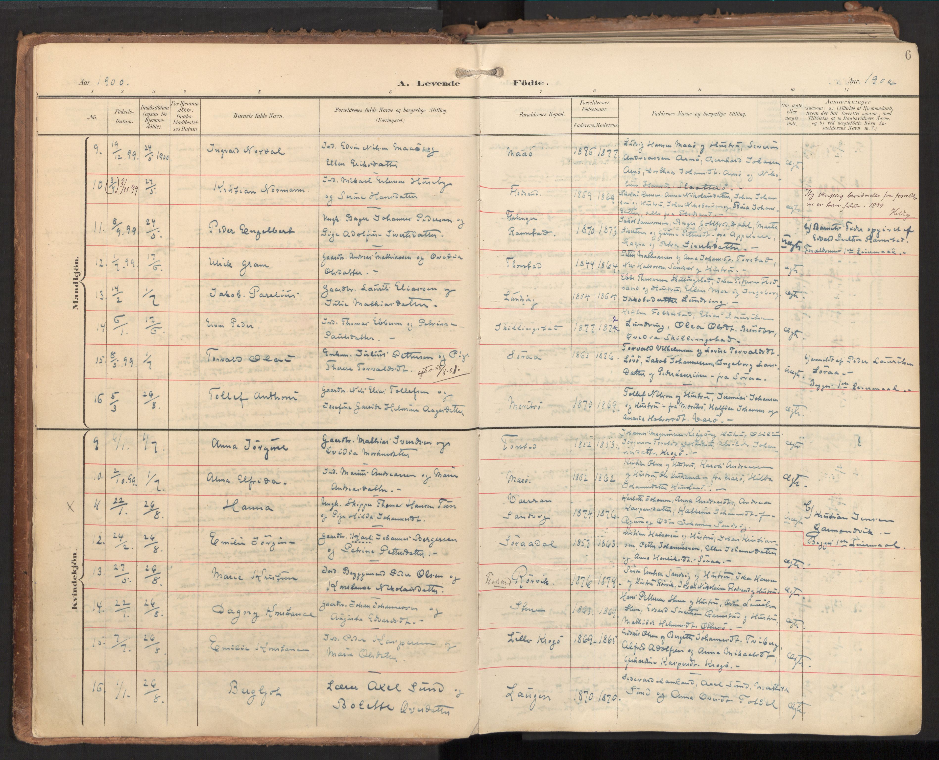 Ministerialprotokoller, klokkerbøker og fødselsregistre - Nord-Trøndelag, AV/SAT-A-1458/784/L0677: Parish register (official) no. 784A12, 1900-1920, p. 6