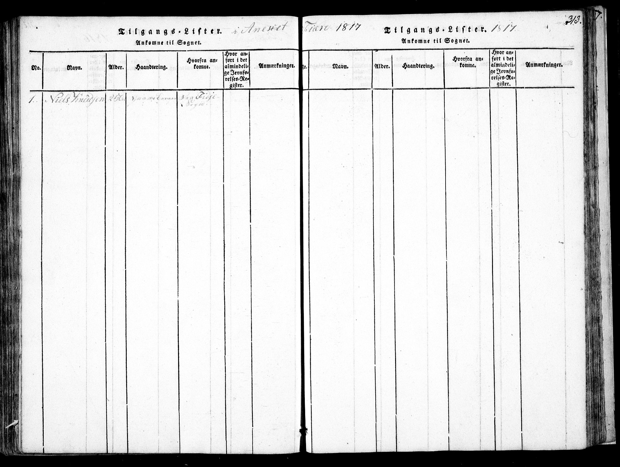 Fjære sokneprestkontor, SAK/1111-0011/F/Fb/L0007: Parish register (copy) no. B 7, 1816-1826, p. 313