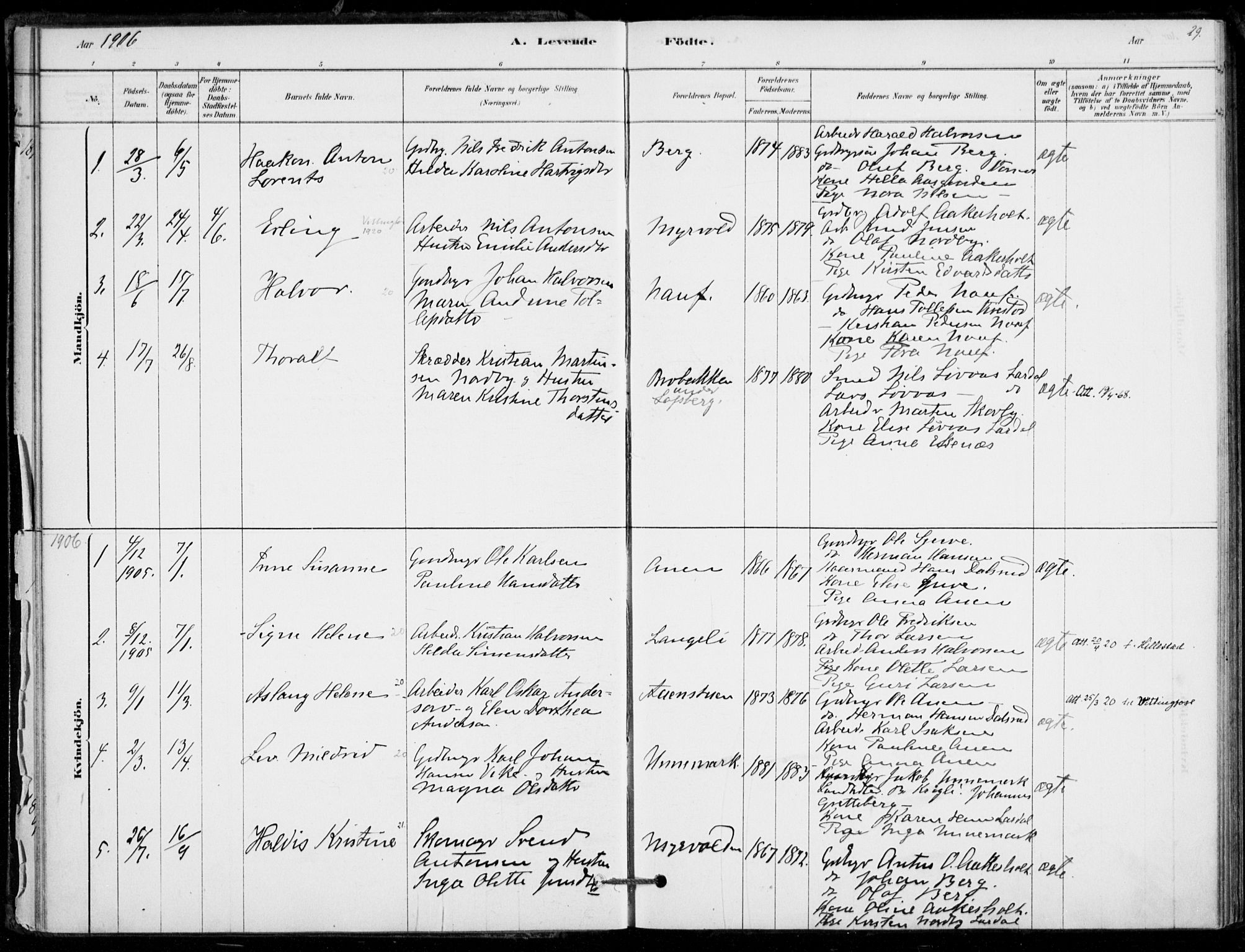 Hof kirkebøker, AV/SAKO-A-64/F/Fb/L0001: Parish register (official) no. II 1, 1878-1907, p. 29