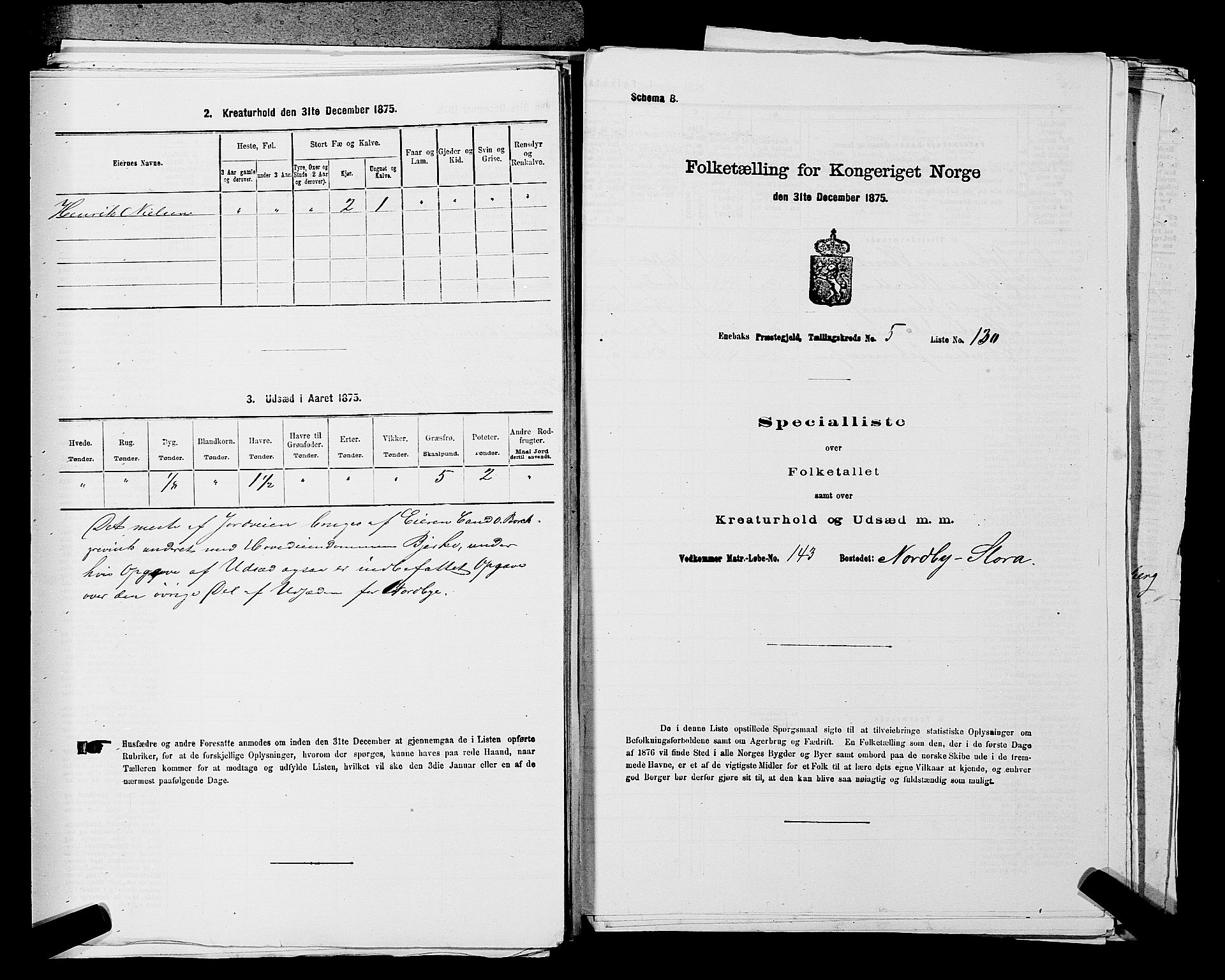 RA, 1875 census for 0229P Enebakk, 1875, p. 920