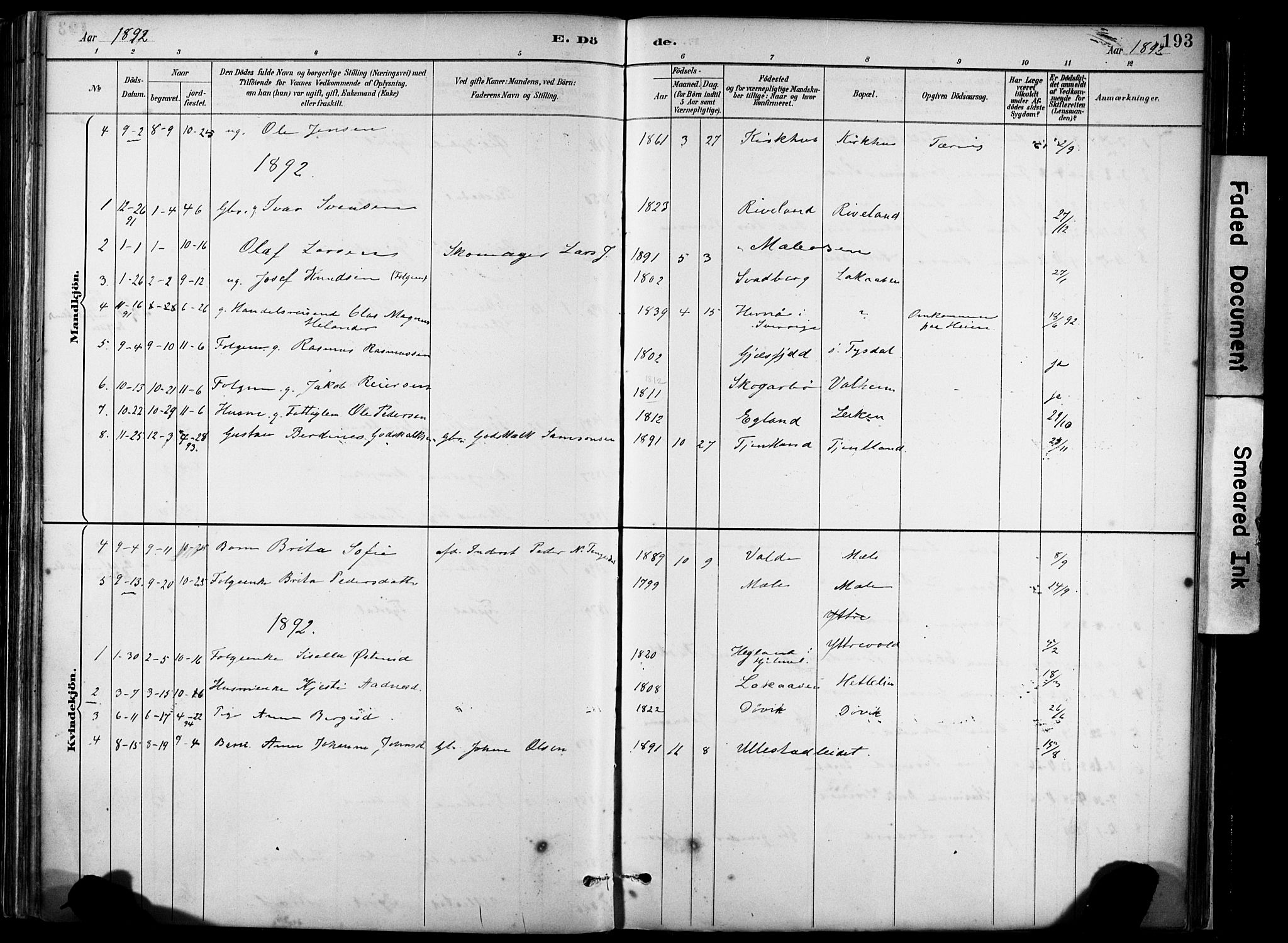 Hjelmeland sokneprestkontor, AV/SAST-A-101843/02/A/L0001: Parish register (official) no. A 16, 1887-1926, p. 193