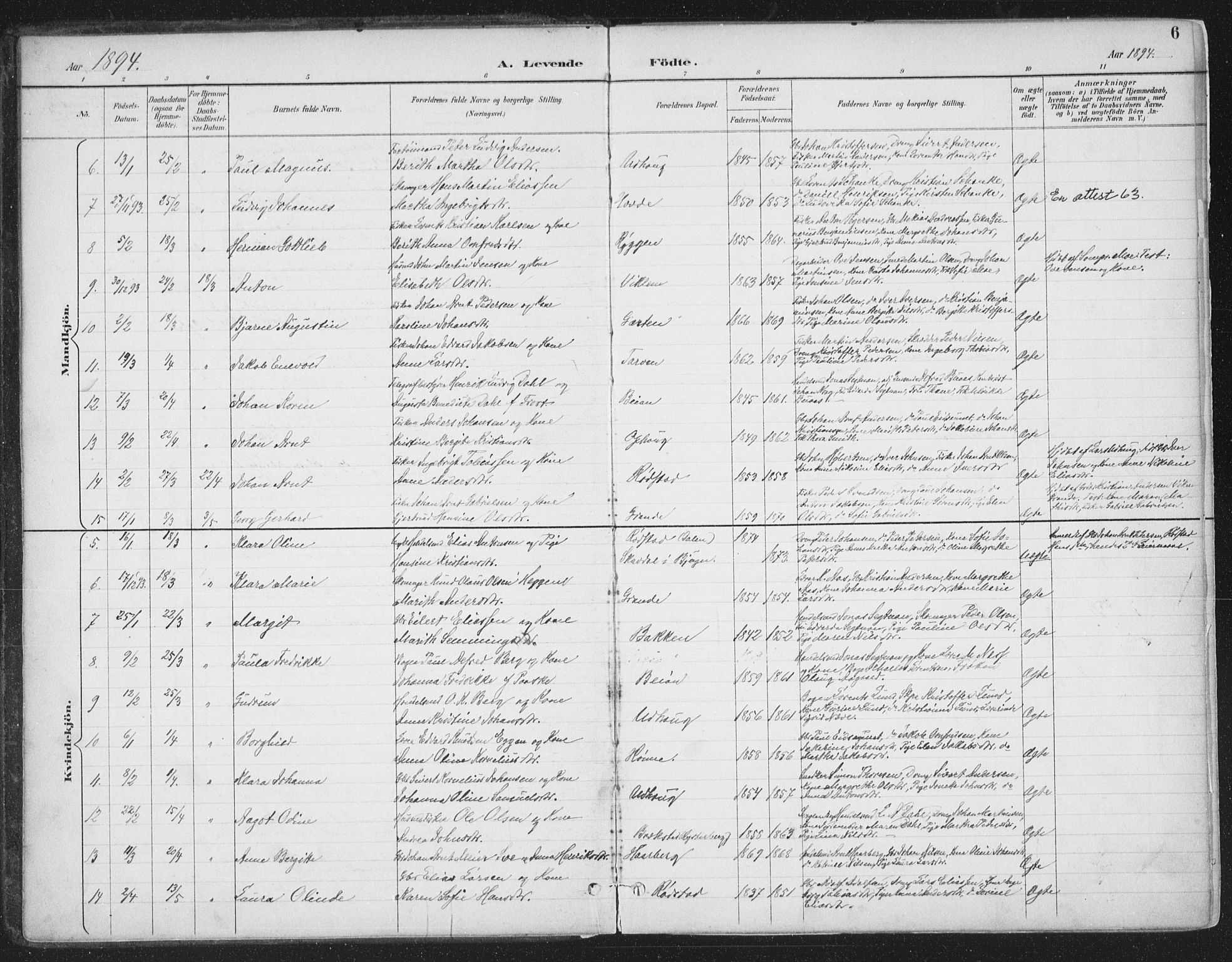 Ministerialprotokoller, klokkerbøker og fødselsregistre - Sør-Trøndelag, SAT/A-1456/659/L0743: Parish register (official) no. 659A13, 1893-1910, p. 6