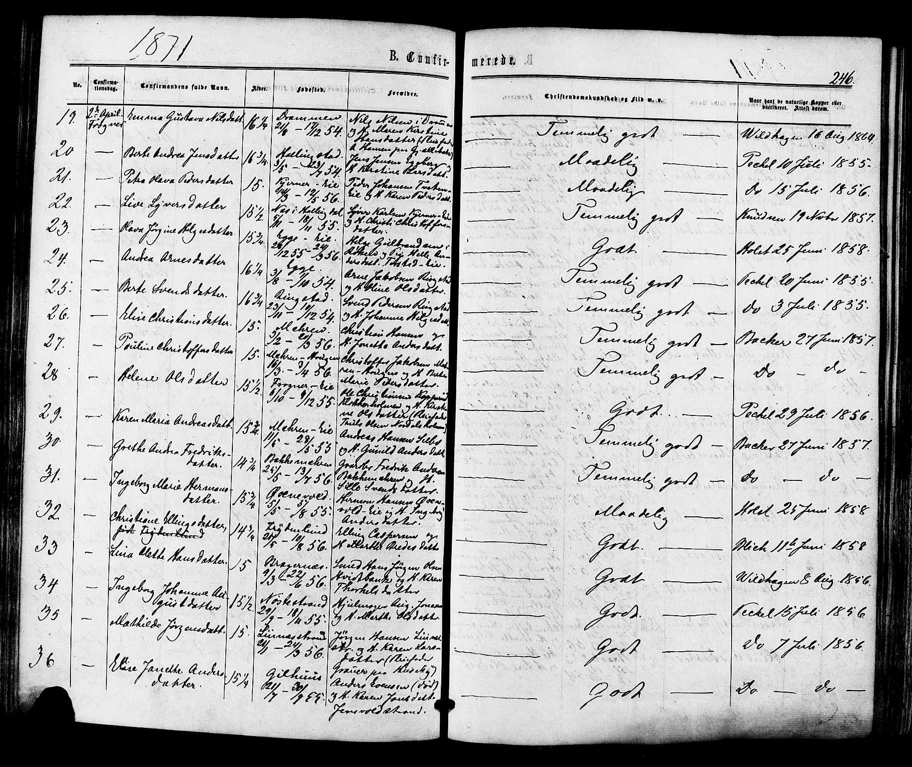 Lier kirkebøker, AV/SAKO-A-230/F/Fa/L0013: Parish register (official) no. I 13, 1865-1874, p. 246