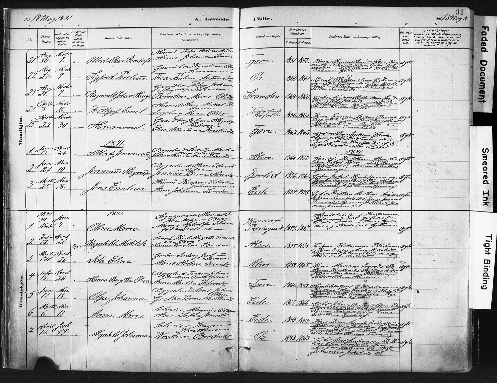 Ministerialprotokoller, klokkerbøker og fødselsregistre - Nordland, SAT/A-1459/803/L0071: Parish register (official) no. 803A01, 1881-1897, p. 31