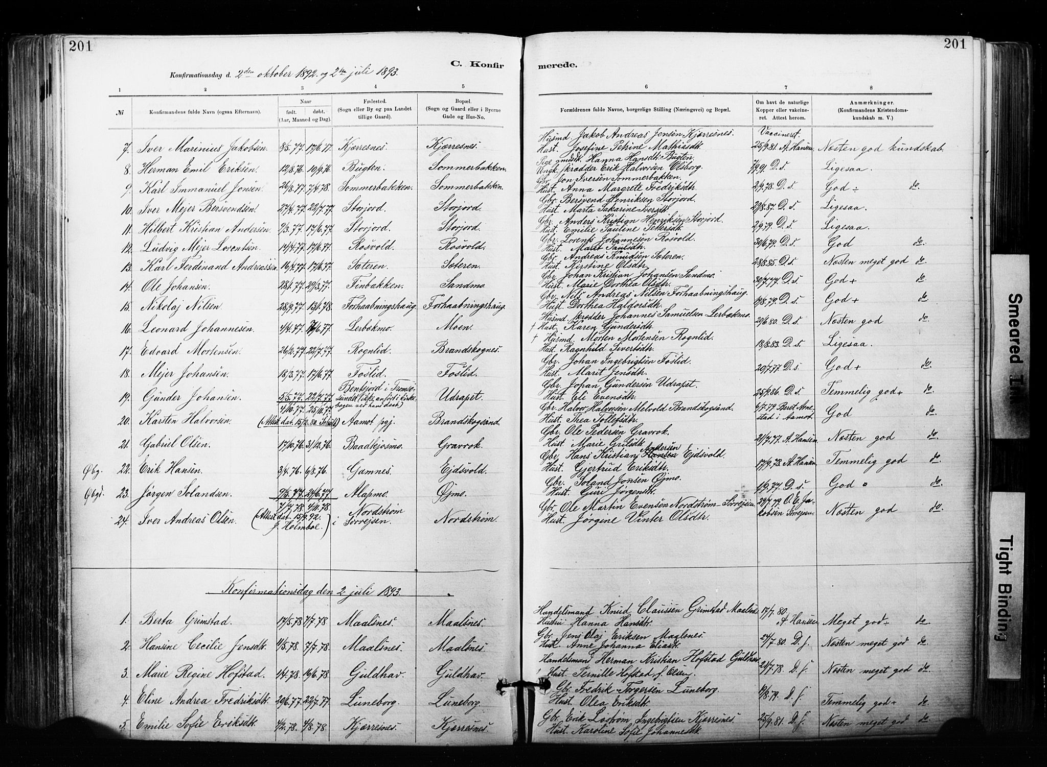 Målselv sokneprestembete, SATØ/S-1311/G/Ga/Gaa/L0007kirke: Parish register (official) no. 7, 1884-1903, p. 201