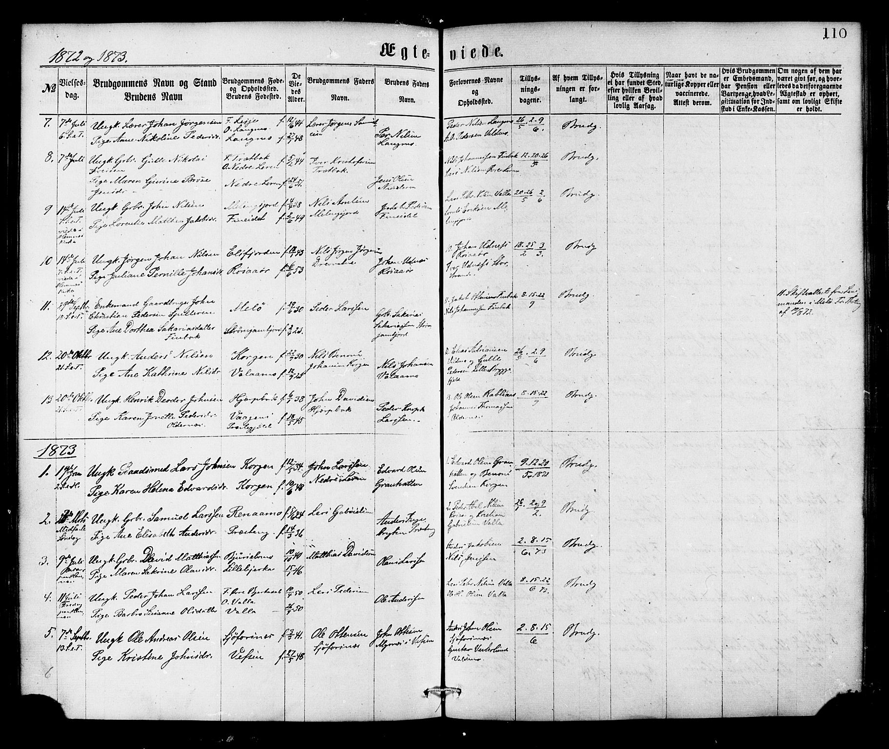 Ministerialprotokoller, klokkerbøker og fødselsregistre - Nordland, AV/SAT-A-1459/826/L0378: Parish register (official) no. 826A01, 1865-1878, p. 110