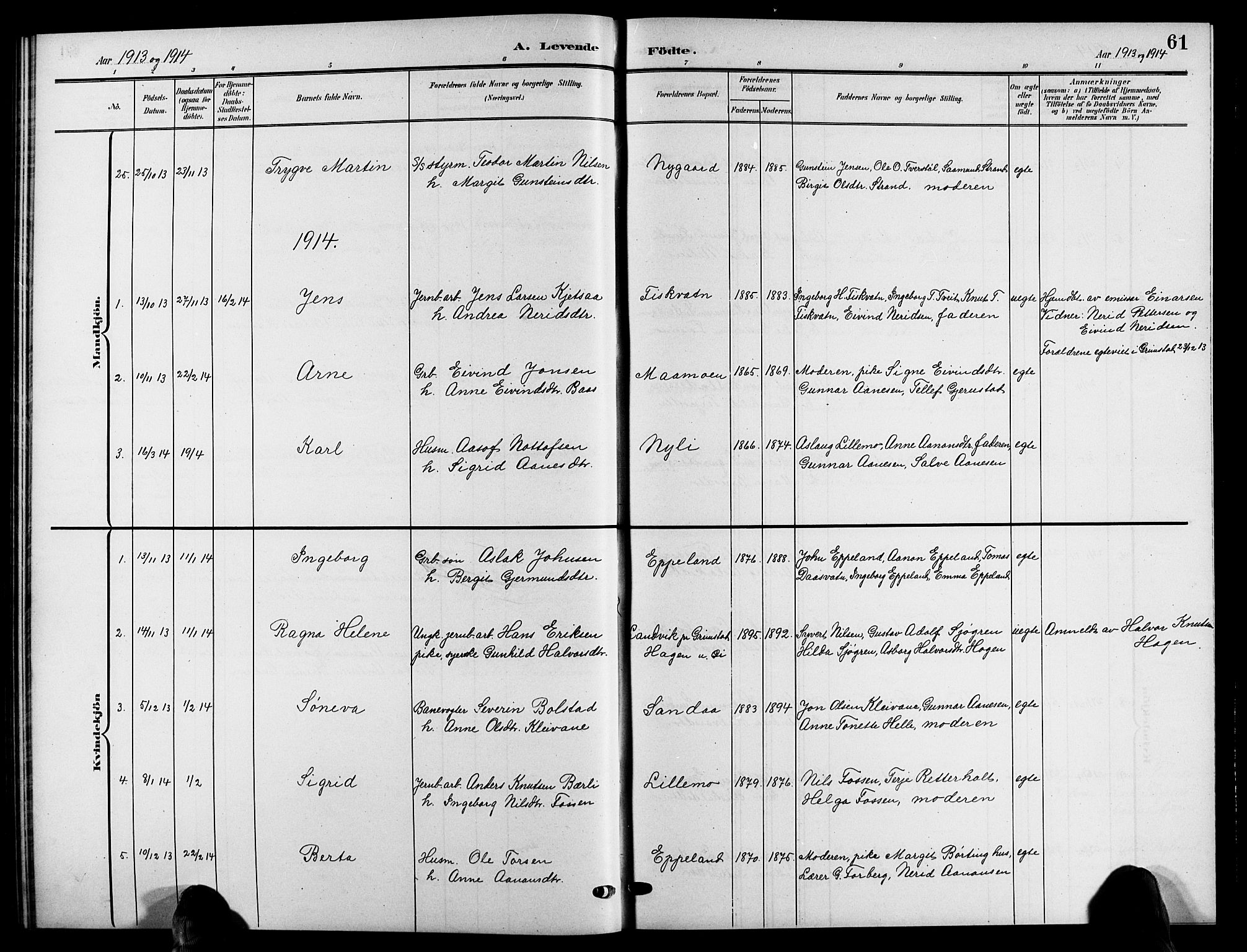 Åmli sokneprestkontor, AV/SAK-1111-0050/F/Fb/Fbc/L0005: Parish register (copy) no. B 5, 1903-1916, p. 61