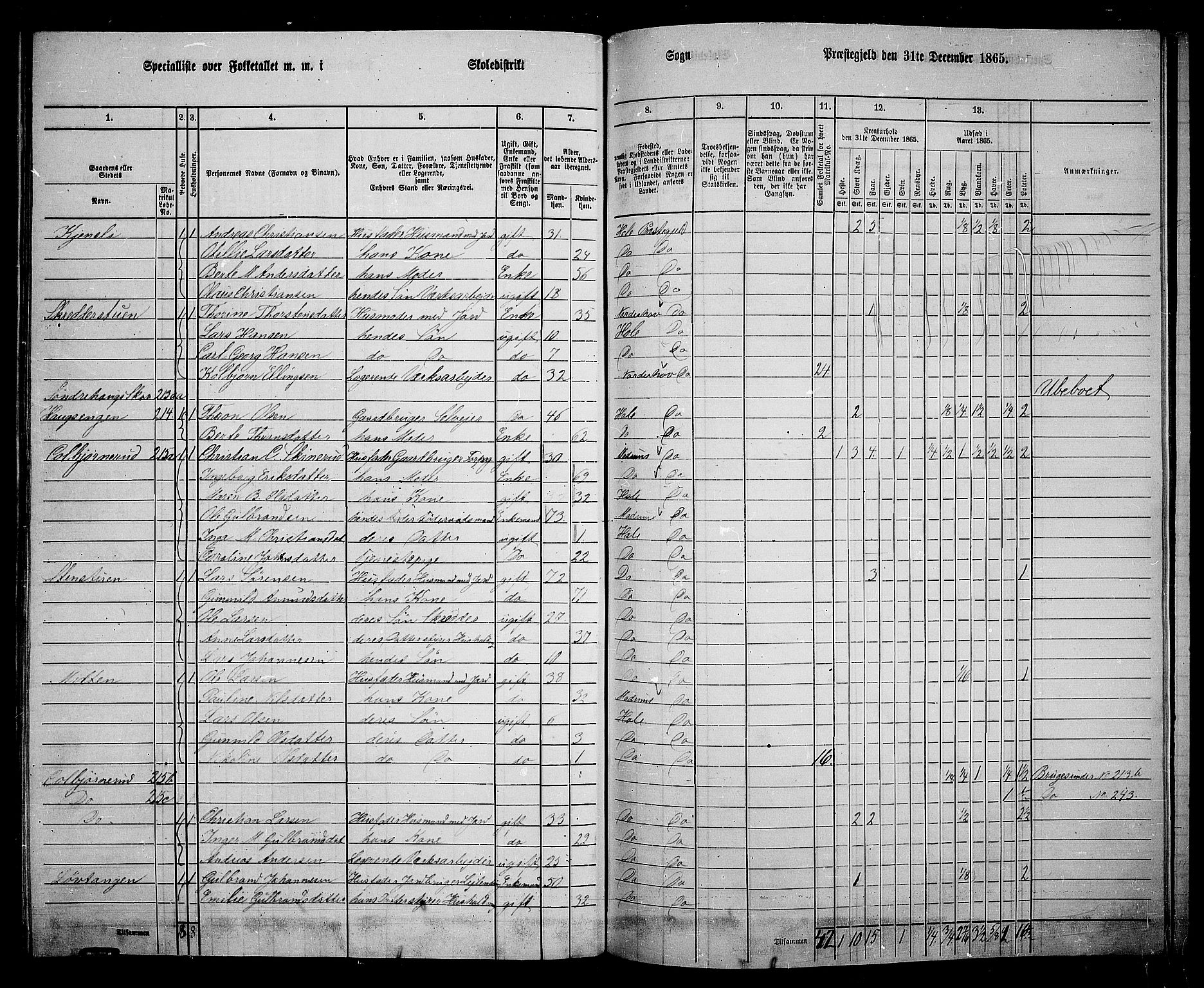 RA, 1865 census for Hole, 1865, p. 148