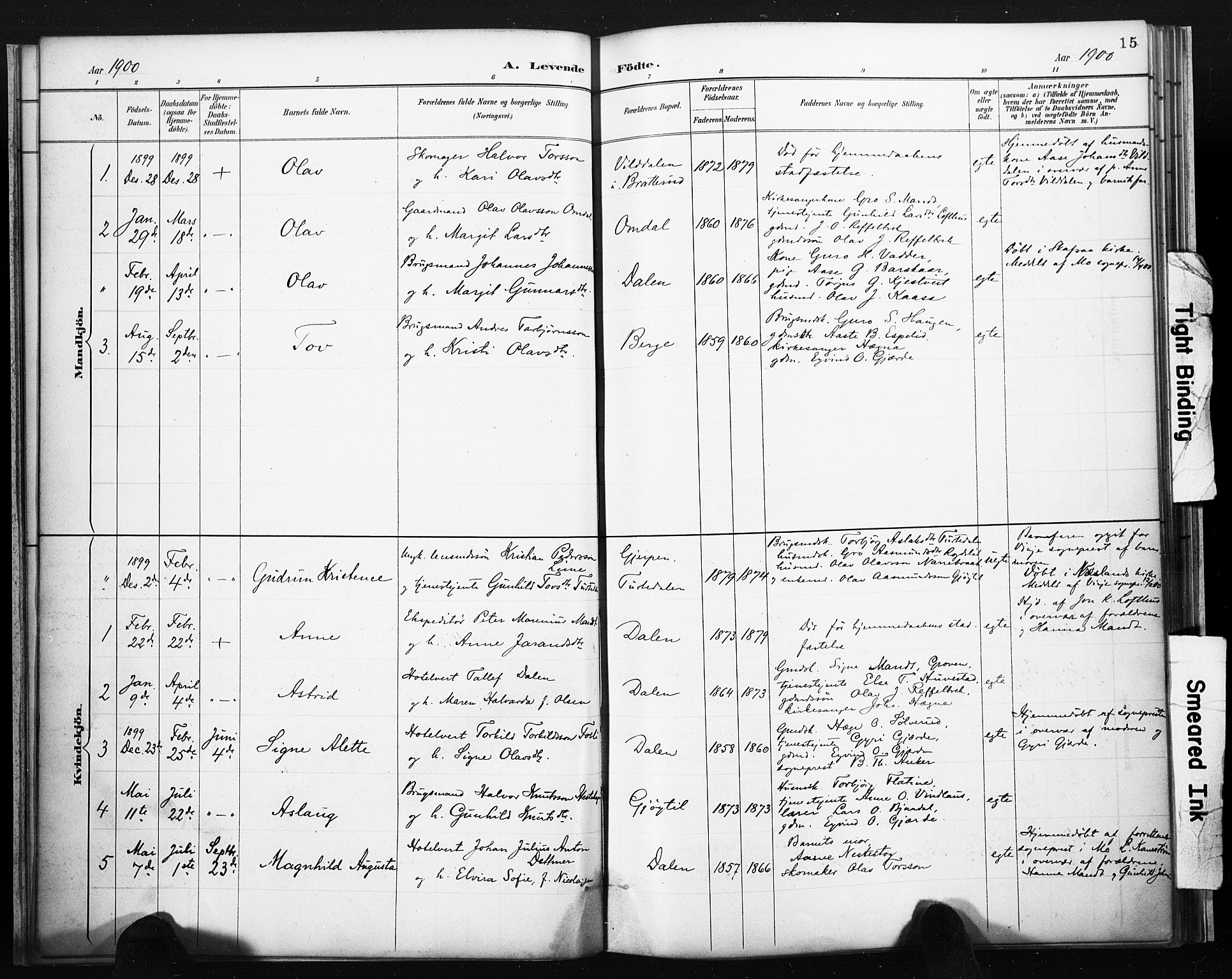 Lårdal kirkebøker, SAKO/A-284/F/Fb/L0002: Parish register (official) no. II 2, 1887-1918, p. 15