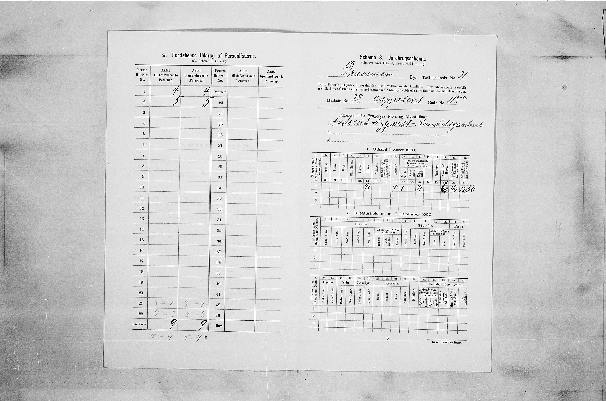 RA, 1900 census for Drammen, 1900, p. 4554