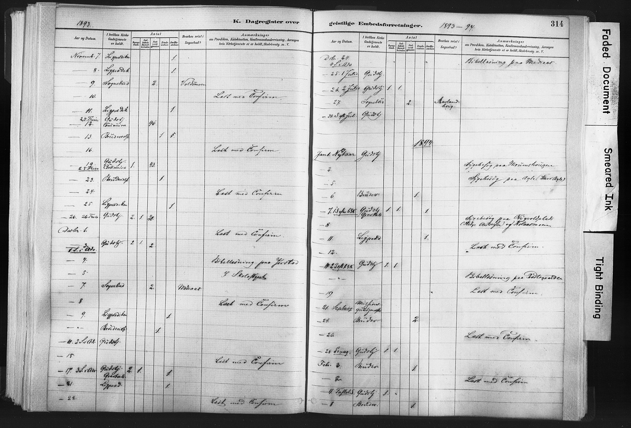 Ministerialprotokoller, klokkerbøker og fødselsregistre - Nord-Trøndelag, SAT/A-1458/749/L0474: Parish register (official) no. 749A08, 1887-1903, p. 314