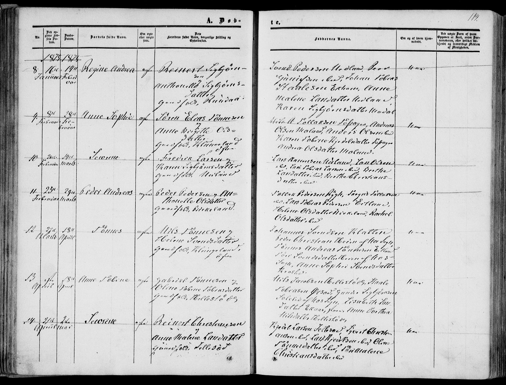 Bakke sokneprestkontor, AV/SAK-1111-0002/F/Fa/Fab/L0002: Parish register (official) no. A 2, 1855-1884, p. 114