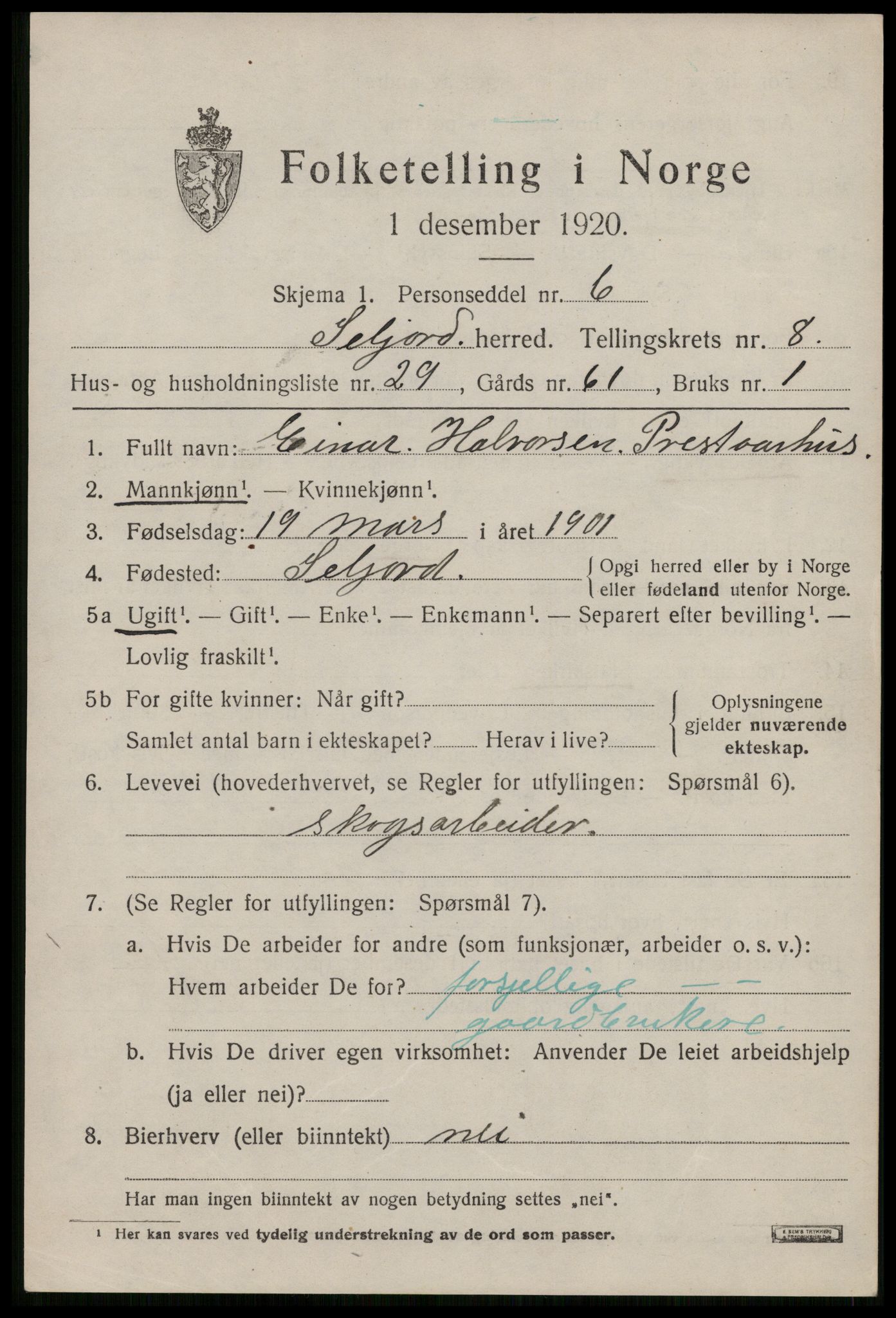 SAKO, 1920 census for Seljord, 1920, p. 4206