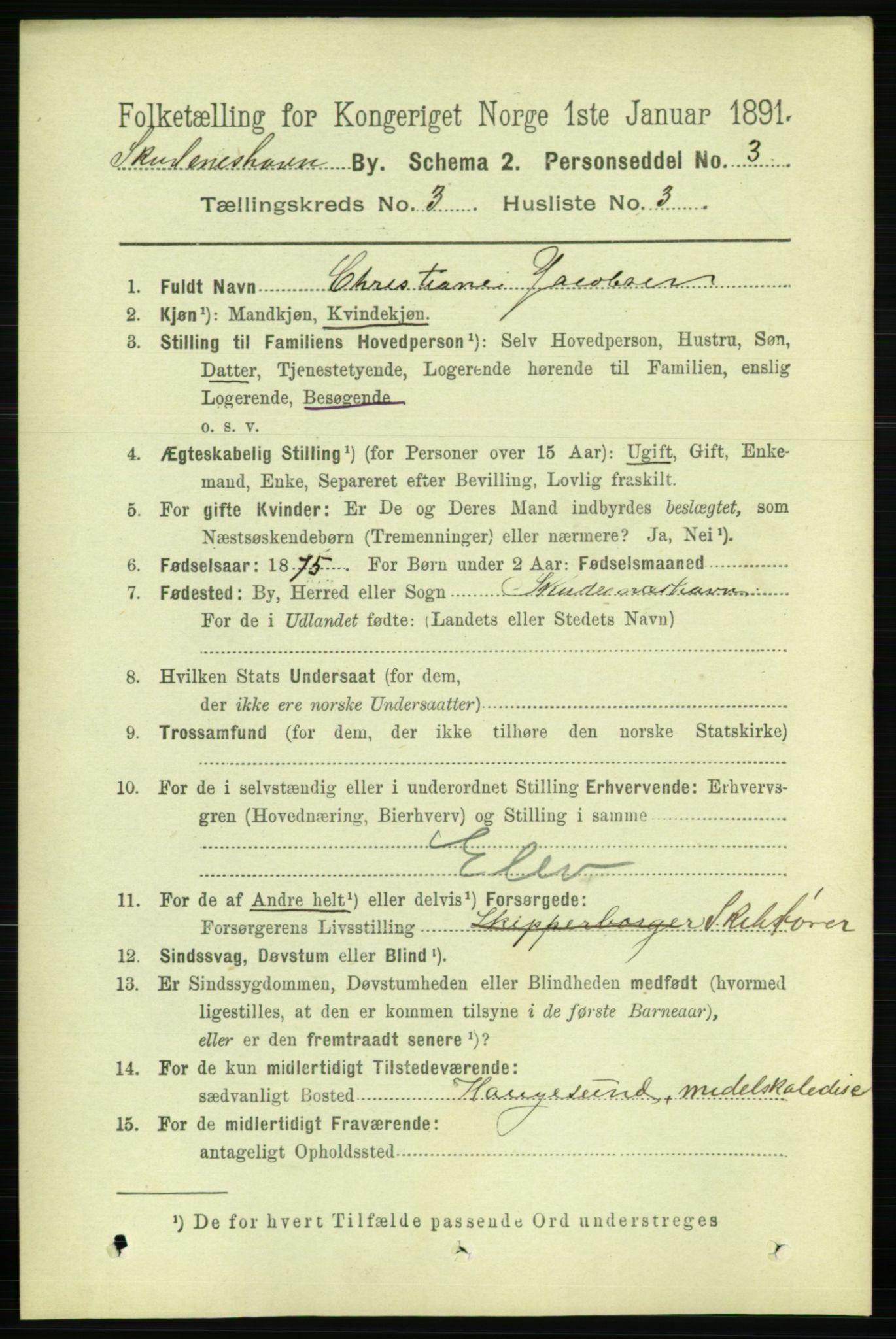 RA, 1891 census for 1104 Skudeneshavn, 1891, p. 974