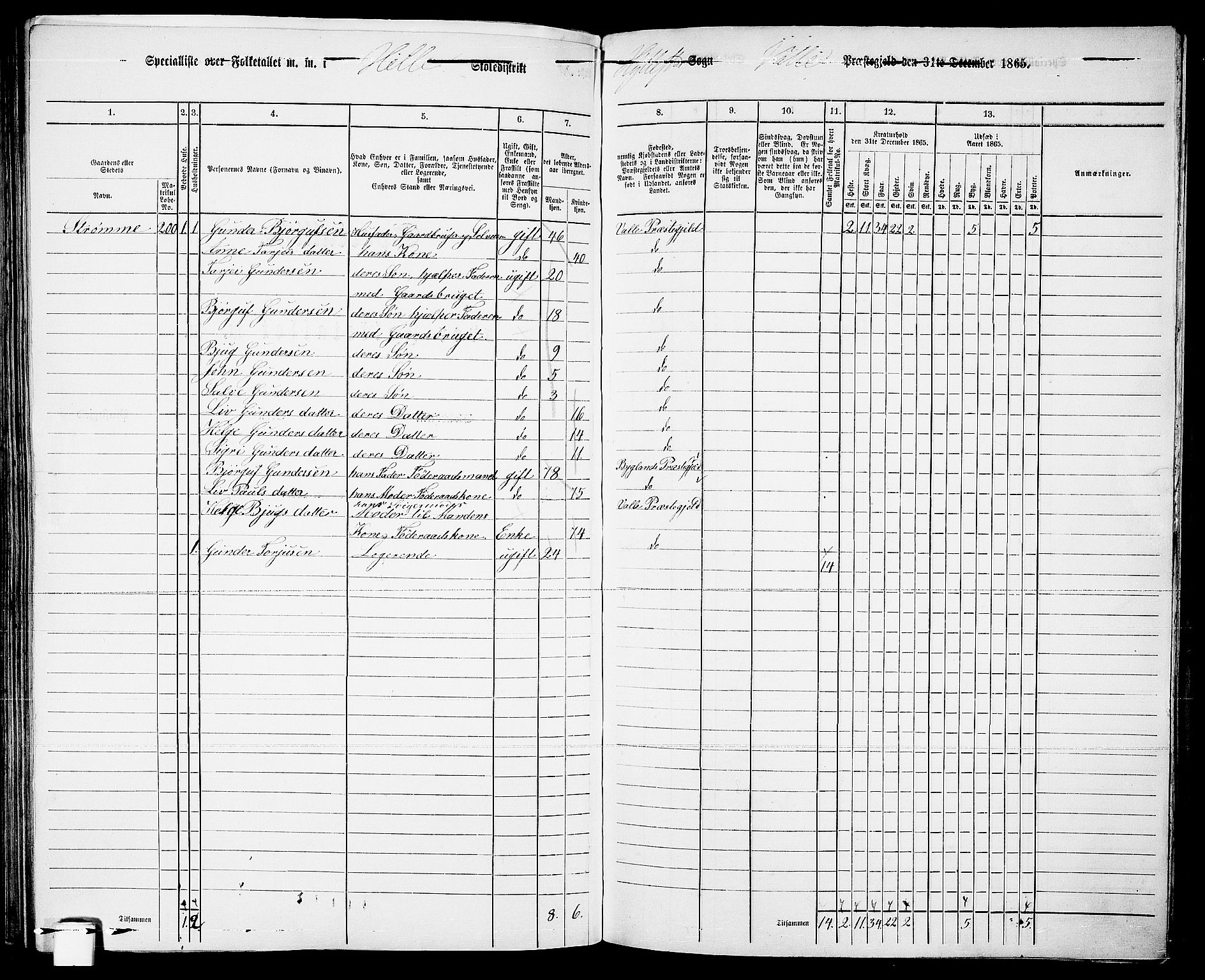 RA, 1865 census for Valle, 1865, p. 131