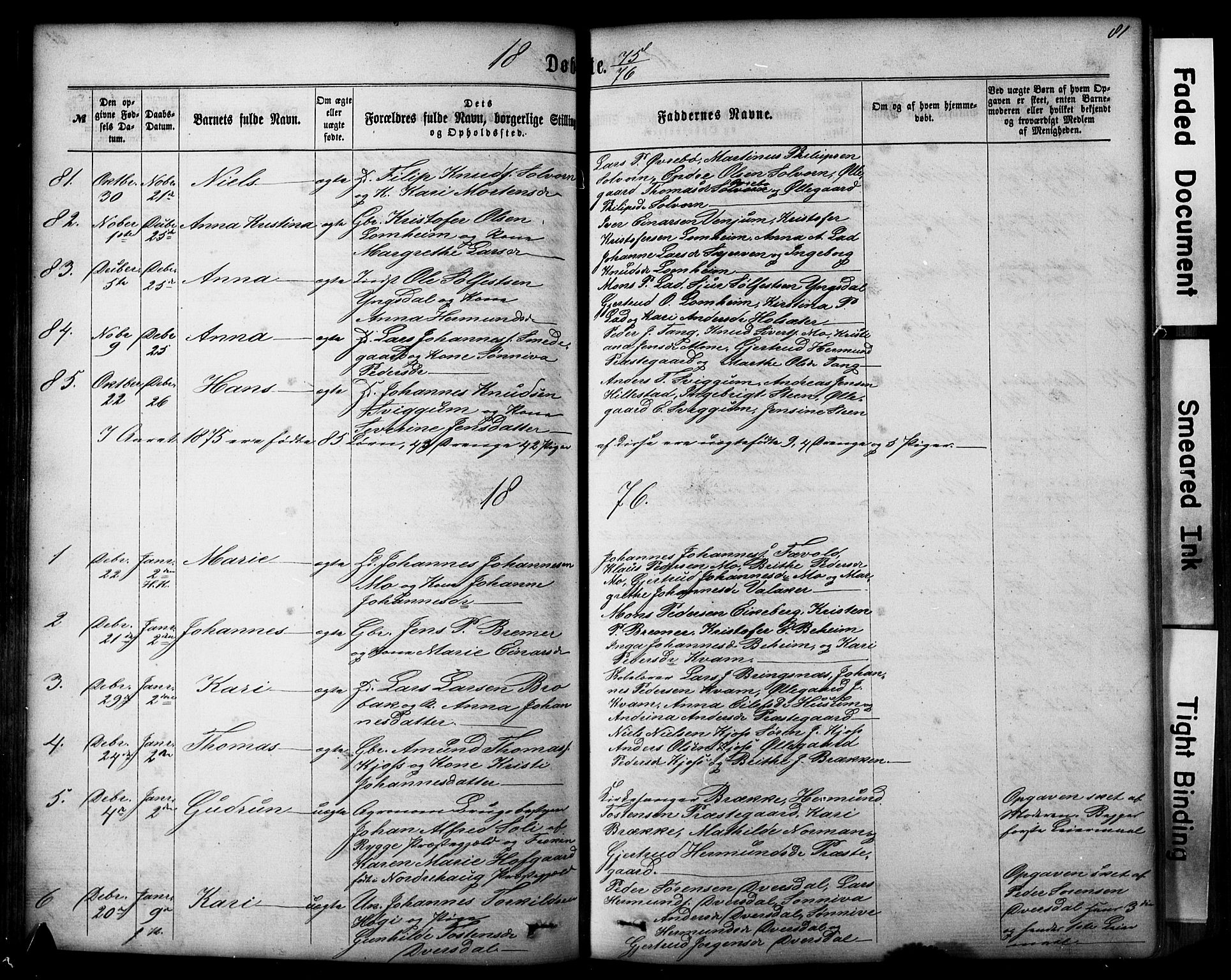 Hafslo sokneprestembete, SAB/A-80301/H/Hab/Haba/L0001: Parish register (copy) no. A 1, 1866-1908, p. 81