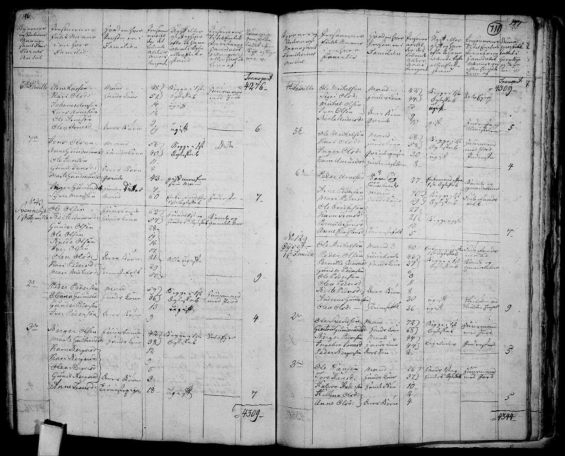 RA, 1801 census for 0424P Hof, 1801, p. 710b-711a