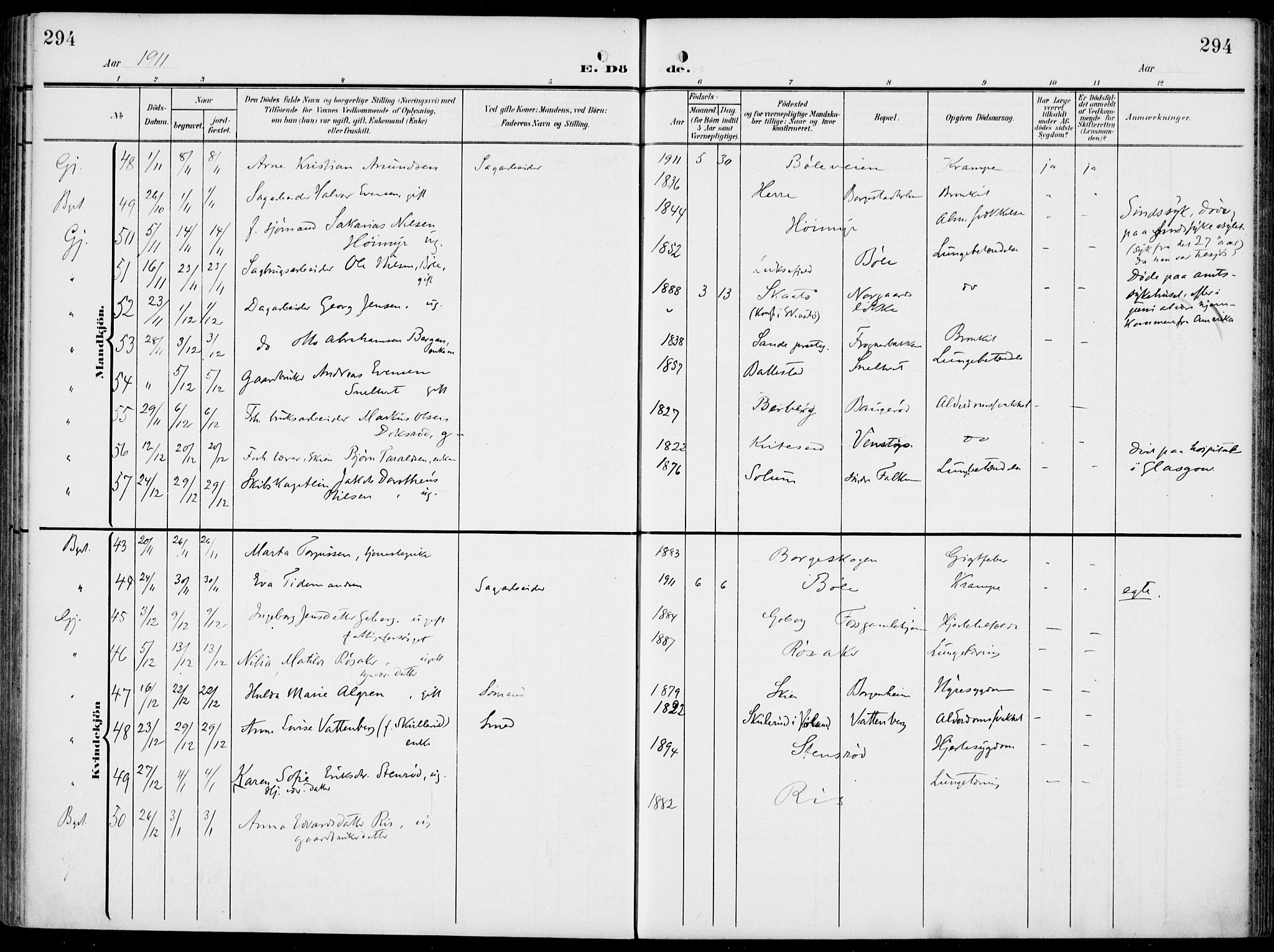 Gjerpen kirkebøker, SAKO/A-265/F/Fa/L0012: Parish register (official) no. I 12, 1905-1913, p. 294
