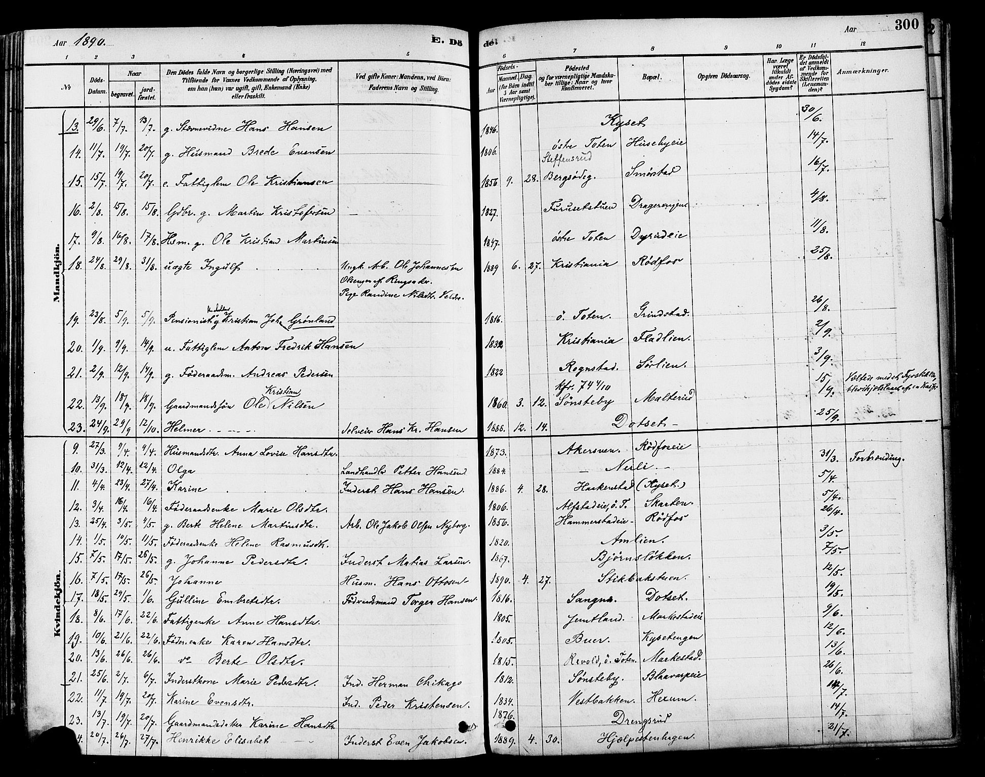 Vestre Toten prestekontor, SAH/PREST-108/H/Ha/Haa/L0009: Parish register (official) no. 9, 1878-1894, p. 300