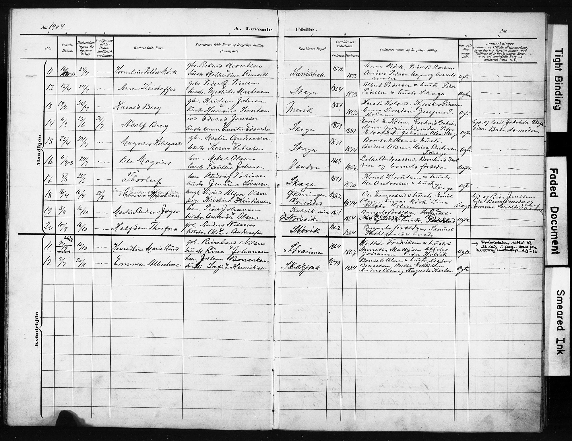 Ministerialprotokoller, klokkerbøker og fødselsregistre - Nordland, AV/SAT-A-1459/836/L0538: Parish register (copy) no. 836C02, 1901-1917